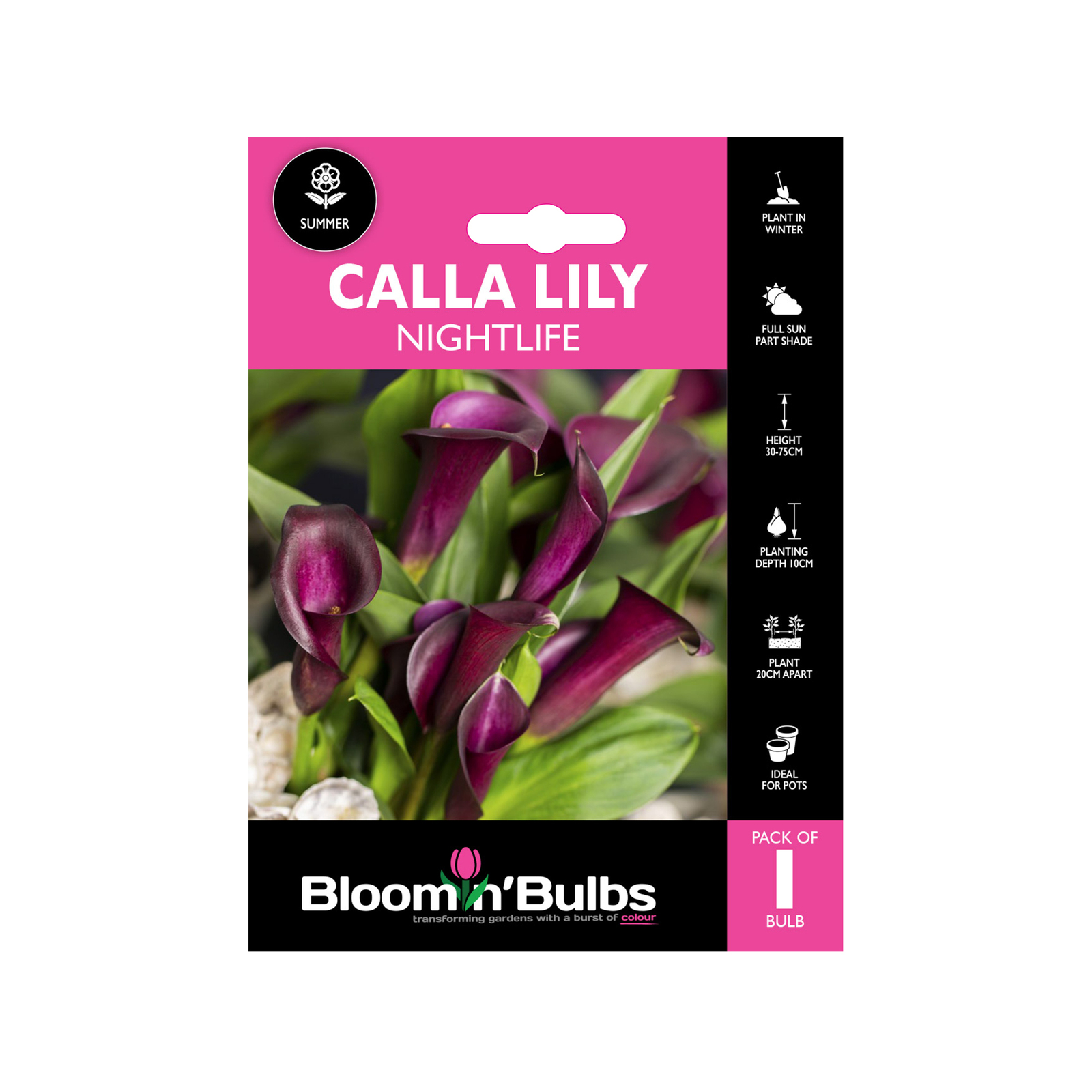 Bloomin Bulbs Calla Lily Nightlife 1 Pack Bunnings Australia