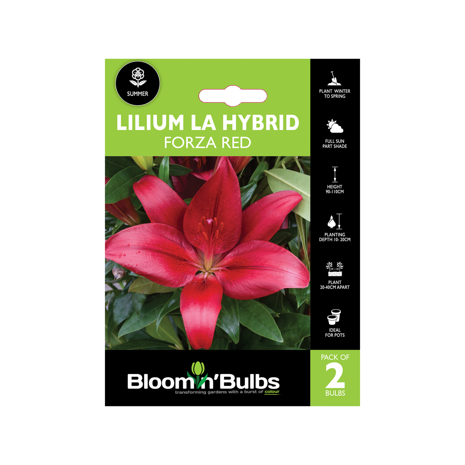 Bloomin Bulbs Lilium Forza Red 2 Pack Bunnings Australia