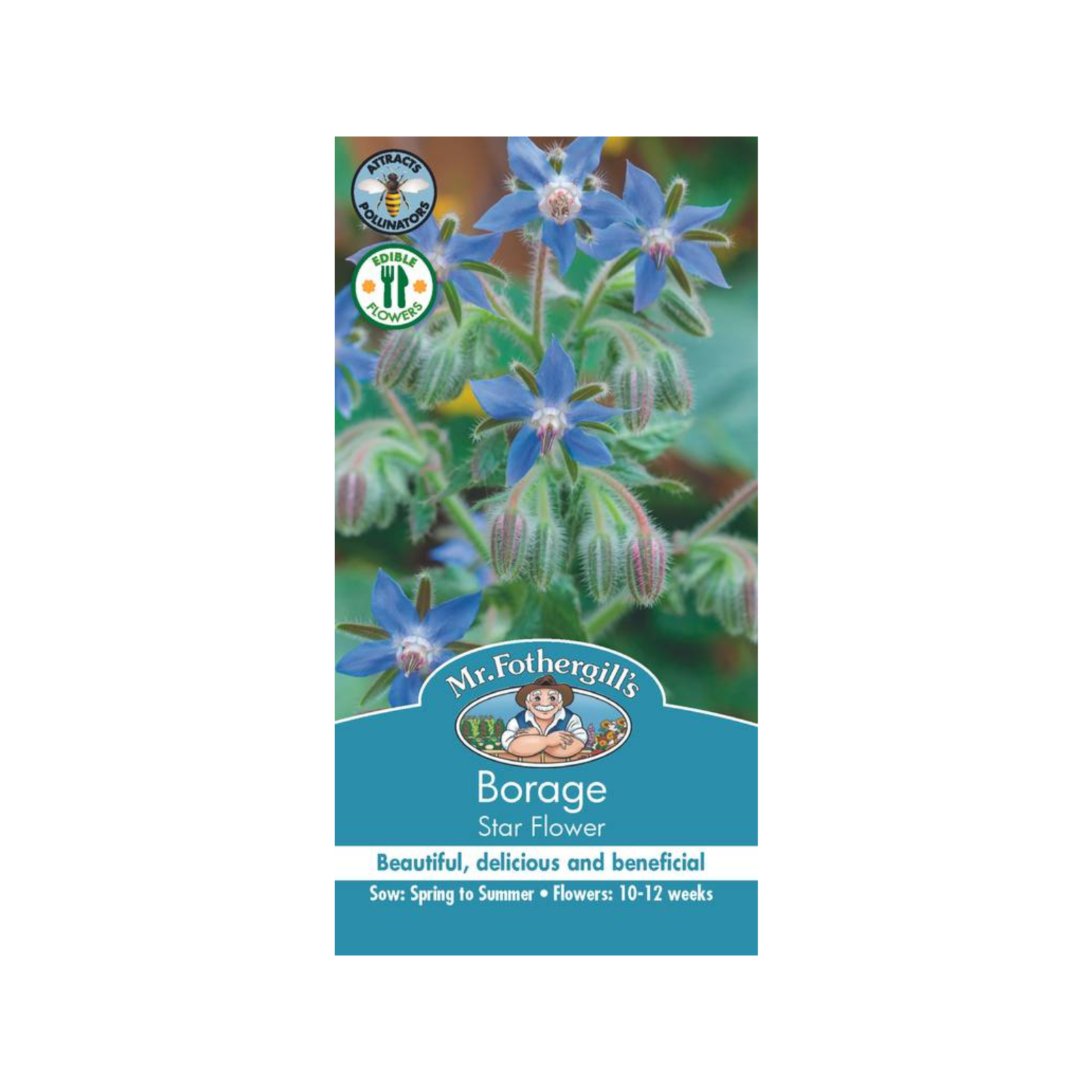Mr Fothergill's Borage Star Flower Seeds Bunnings Australia