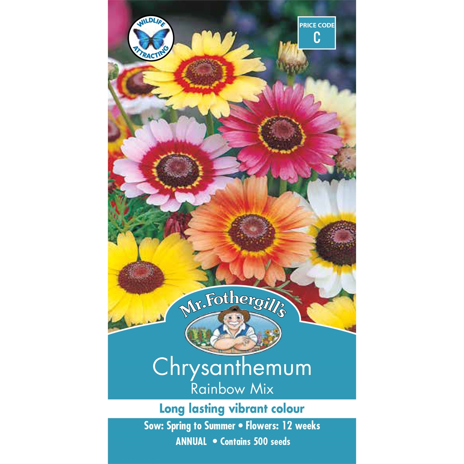 Mr Fothergill's Chrysanthemum Rainbow Mix Seeds Bunnings Australia