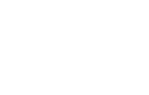 Dirt Devil