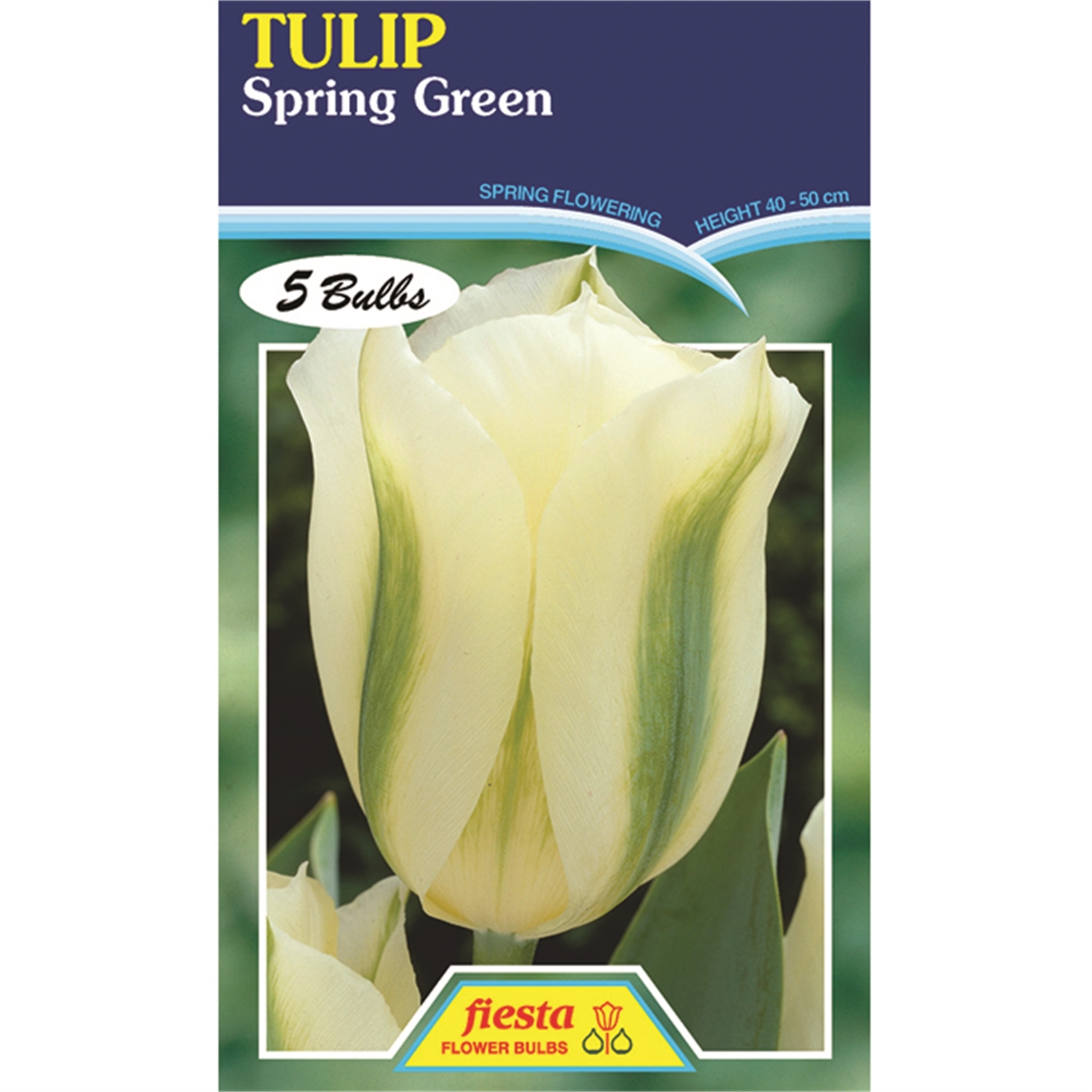 Tulip Spring Green 5 Bulbs Bunnings New Zealand