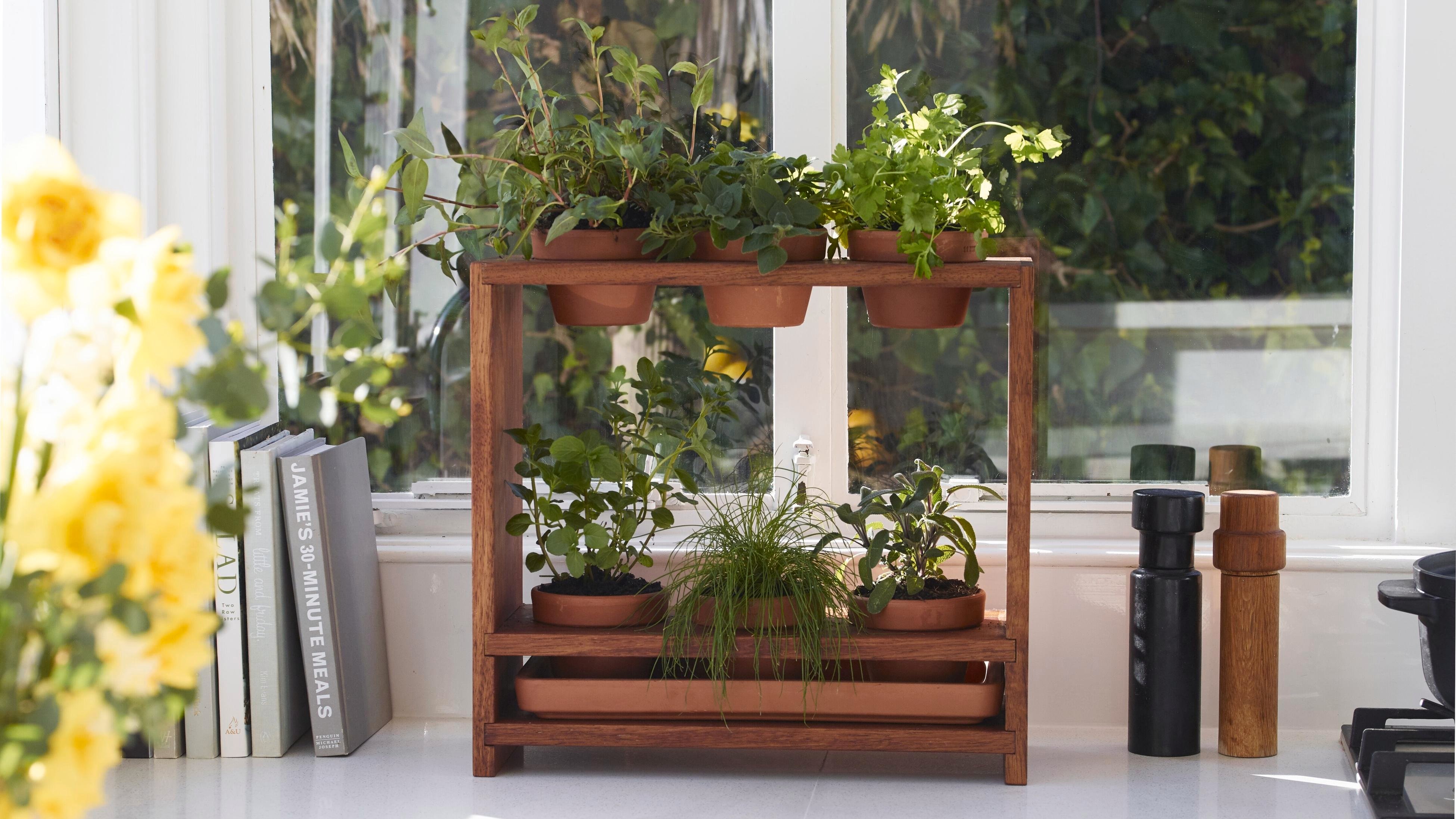 How To Build A Herb Garden Stand Bunnings Australia