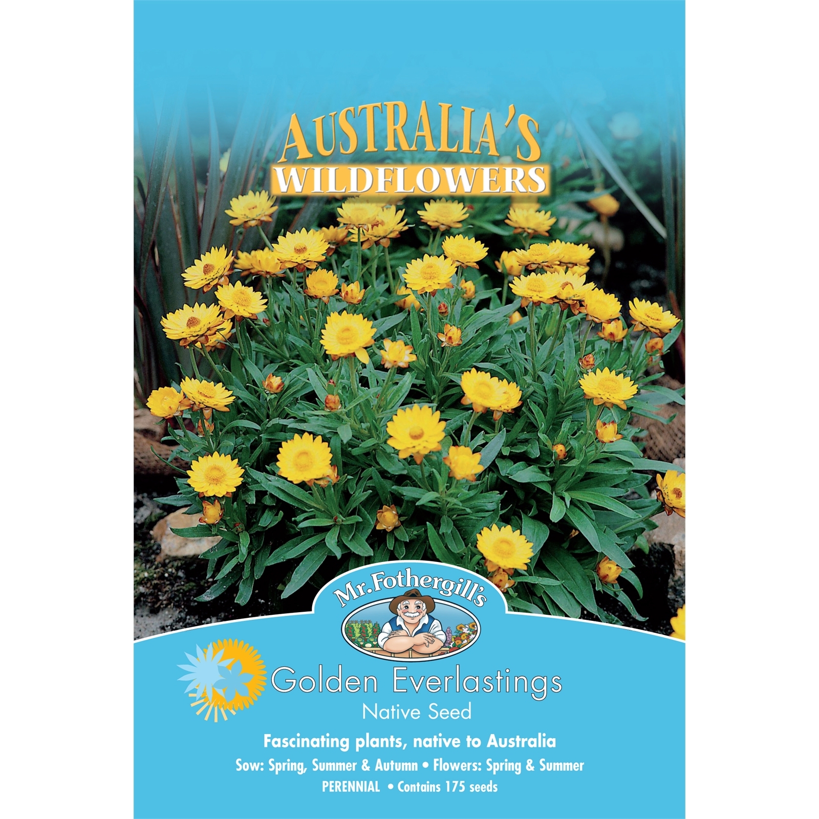 Mr Fothergill's Golden Everlasting Flower Seeds Bunnings Australia
