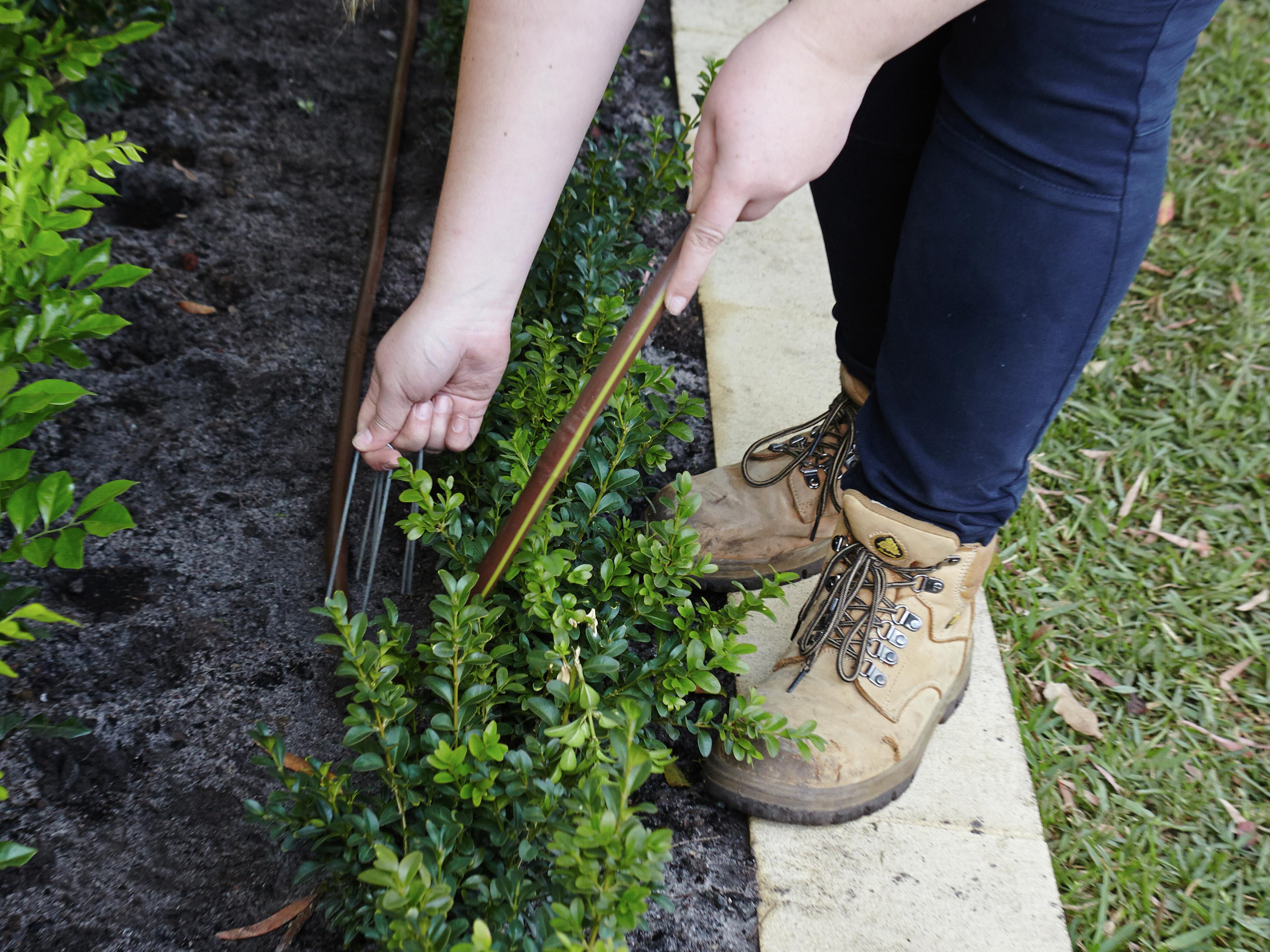 Installing Irrigation Sprayers And Drippers Bunnings Australia