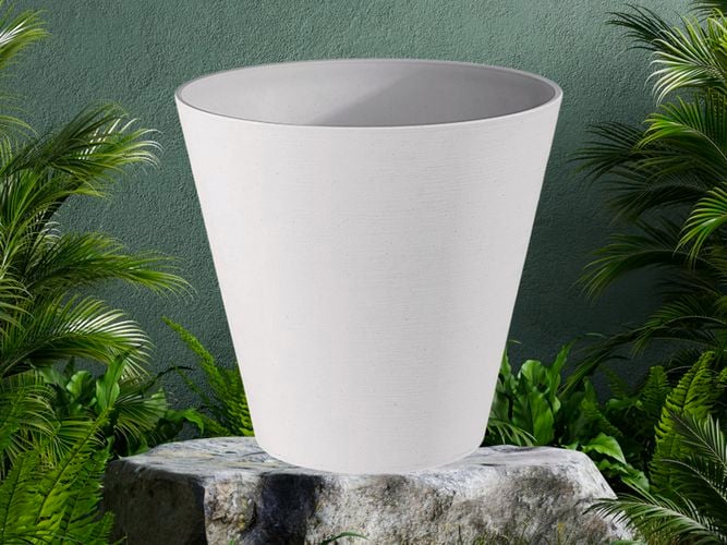 White pot on a rock with plants around it