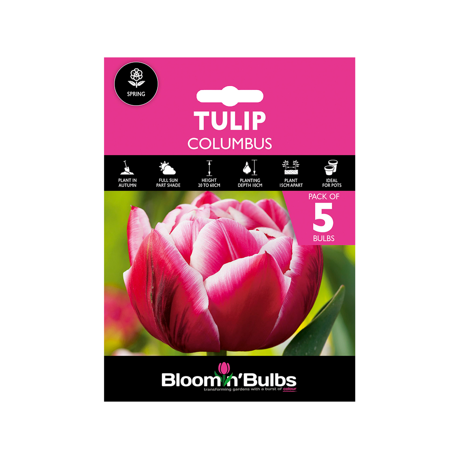 Bloomin' Bulbs Tulip Columbus 5 Pack Bunnings Australia