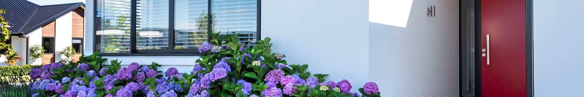 Home entrance with purple flowers and red door.