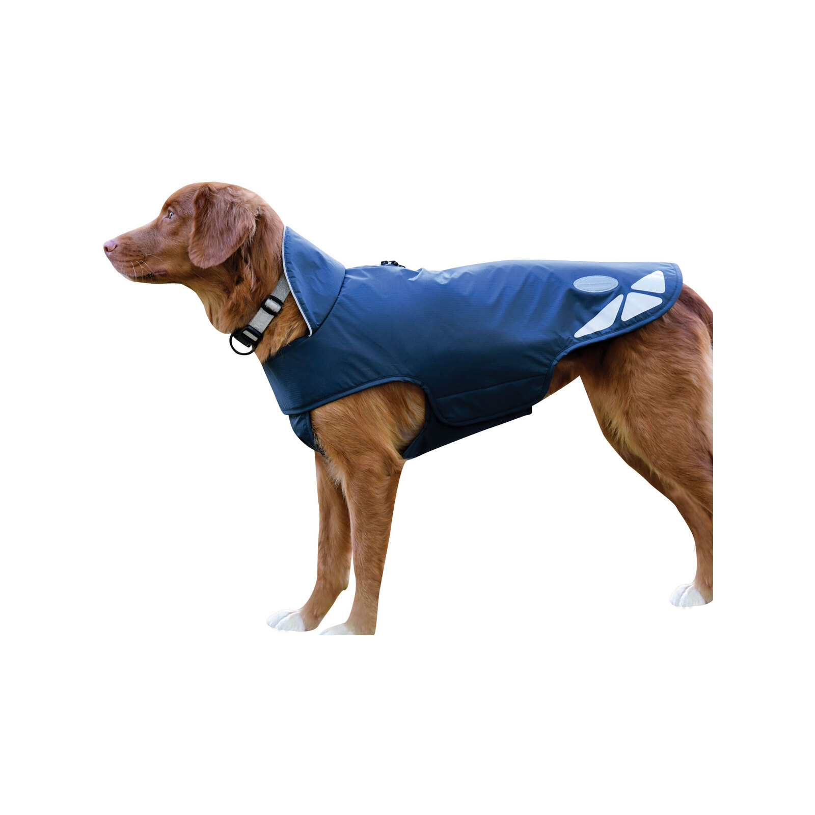 WeatherBeeta Extra Large Navy Explorer Lite Dog Coat Bunnings Australia