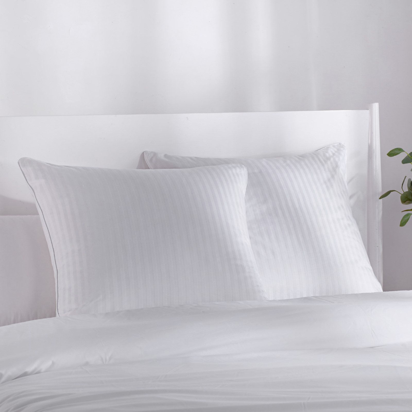 Dreamaker Cotton Sateen Euro Pillow Protector Twin Pack Bunnings