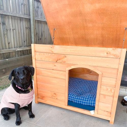 Wooden
  puppy house.