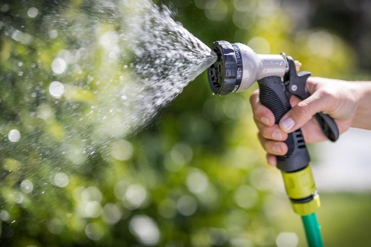 Hose with trigger head