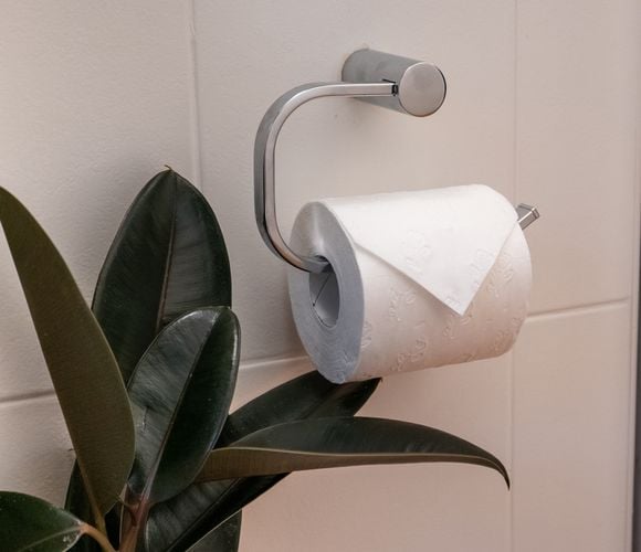 Steel toilet paper hook