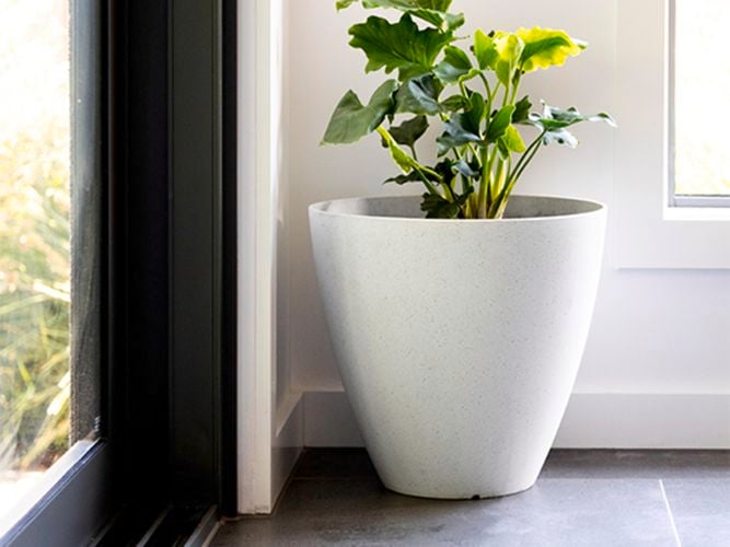 self watering pots