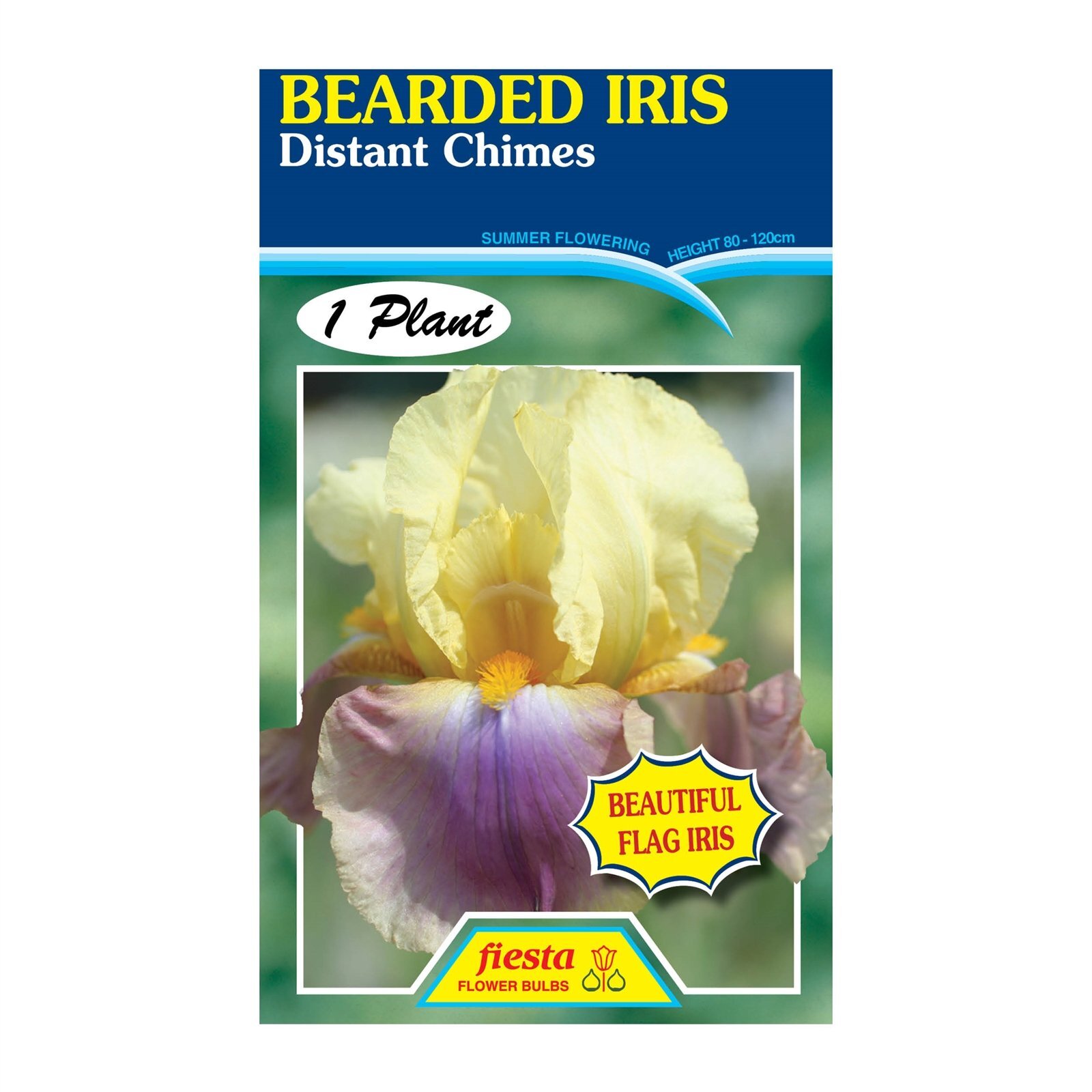 Fiesta Flower Bulbs Iris Germanica Distant Chimes Bulb Bunnings New