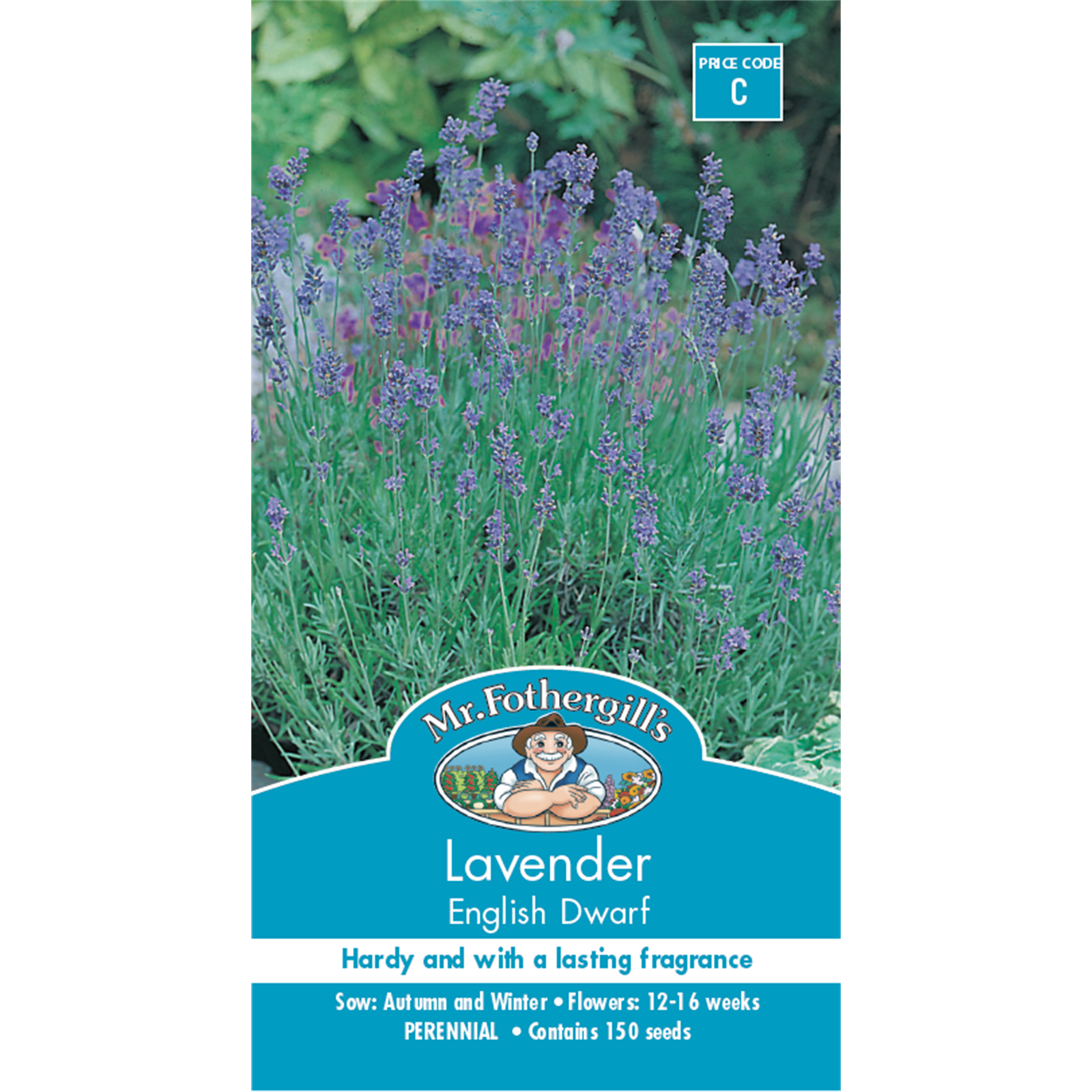 Mr Fothergill's English Dwarf Lavender Flower Seeds Bunnings Australia