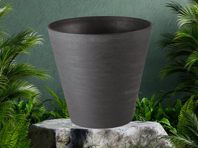 Black pot sitting on a rock with plants around it