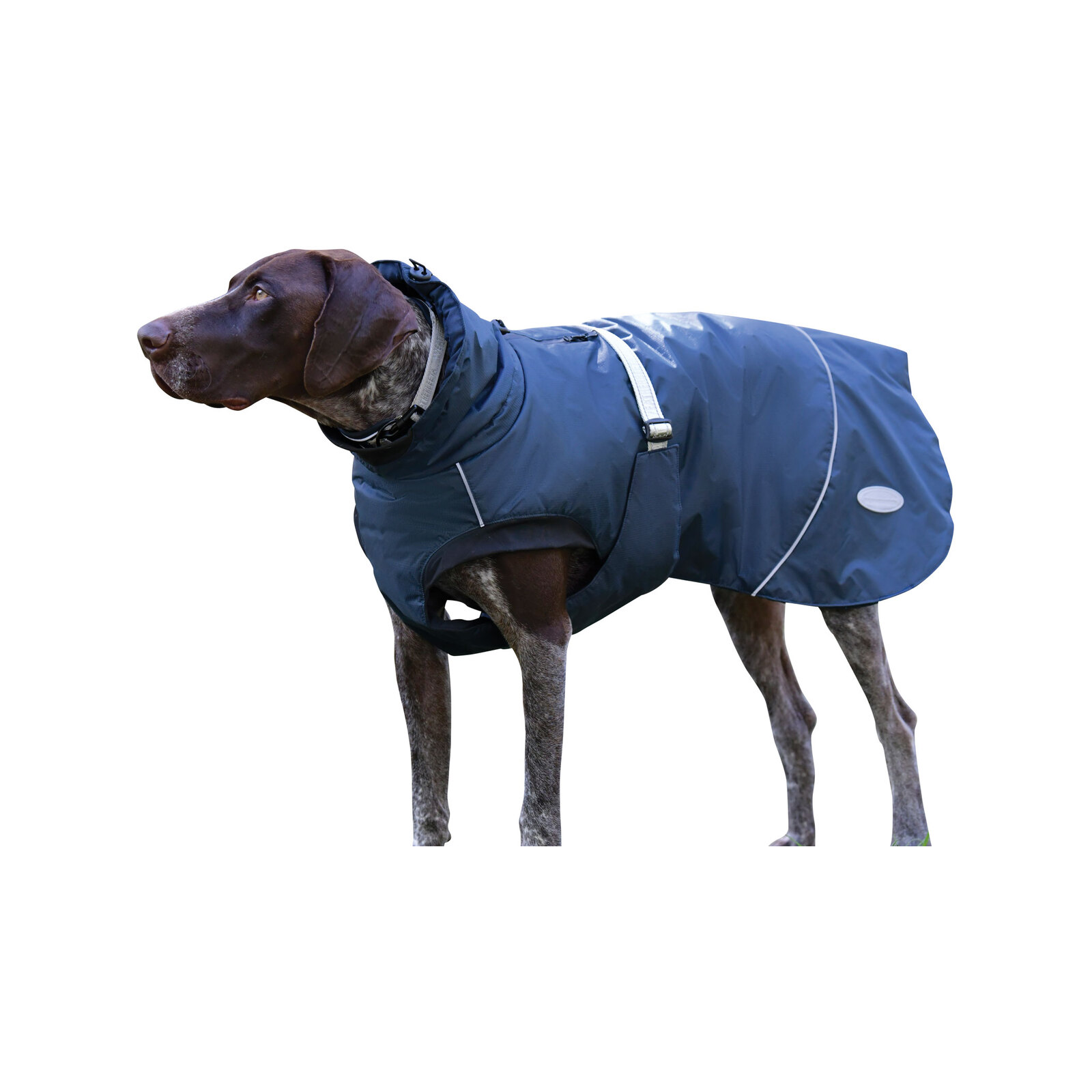 WeatherBeeta 30CM Navy Explorer Medium Dog Coat Bunnings Australia