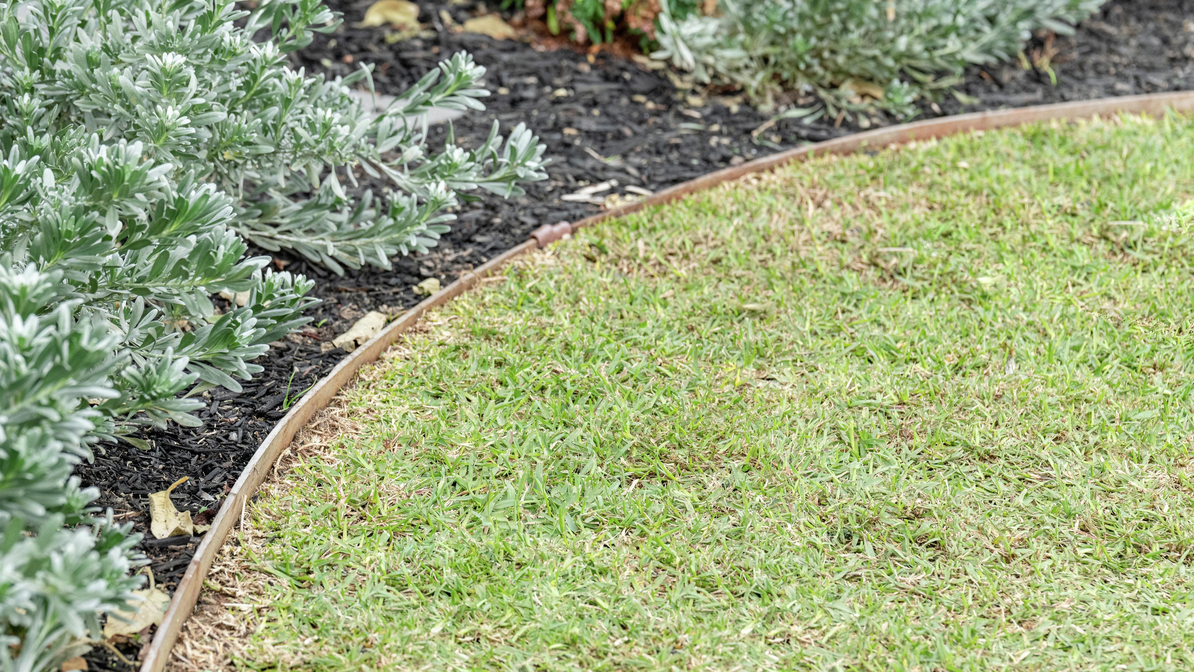 Can anyone help me identify this stubborn weed and provide some advice on  how to tackle it effectively as it has now spread to almost half of my  lawn? : r/GardeningAustralia