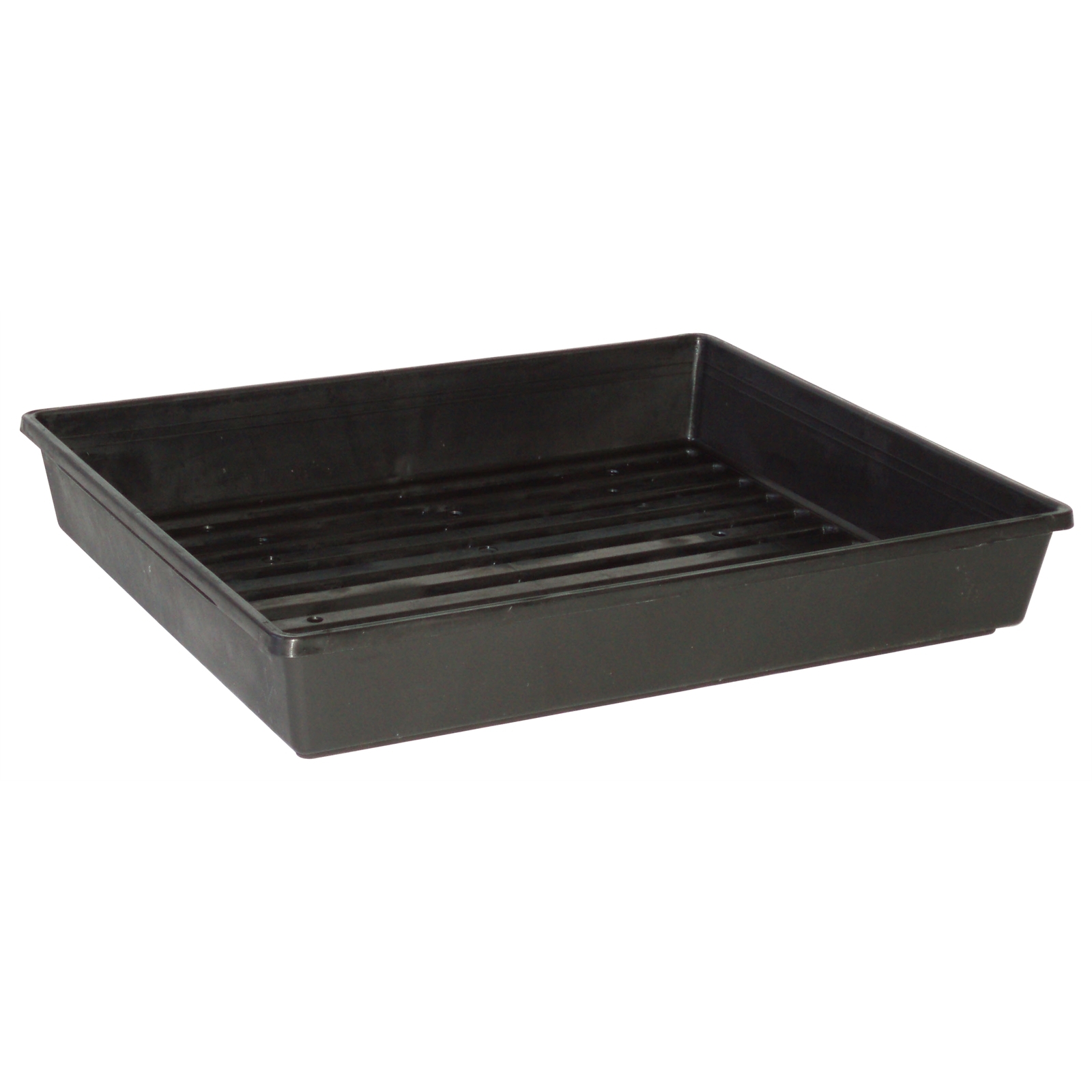 REKO 350mm Black Grow Your Own Seedling Tray Bunnings Australia