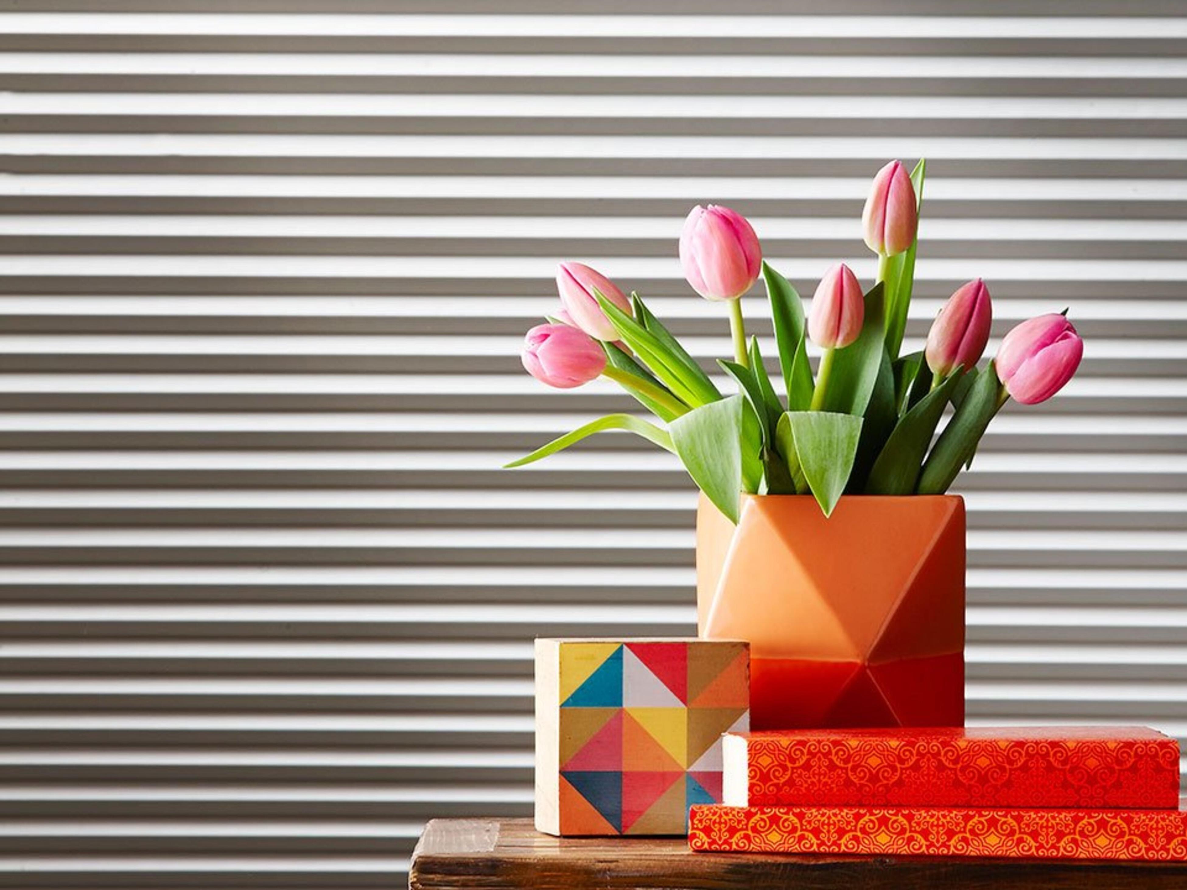 Blinds Cellular Blinds Bunnings Australia