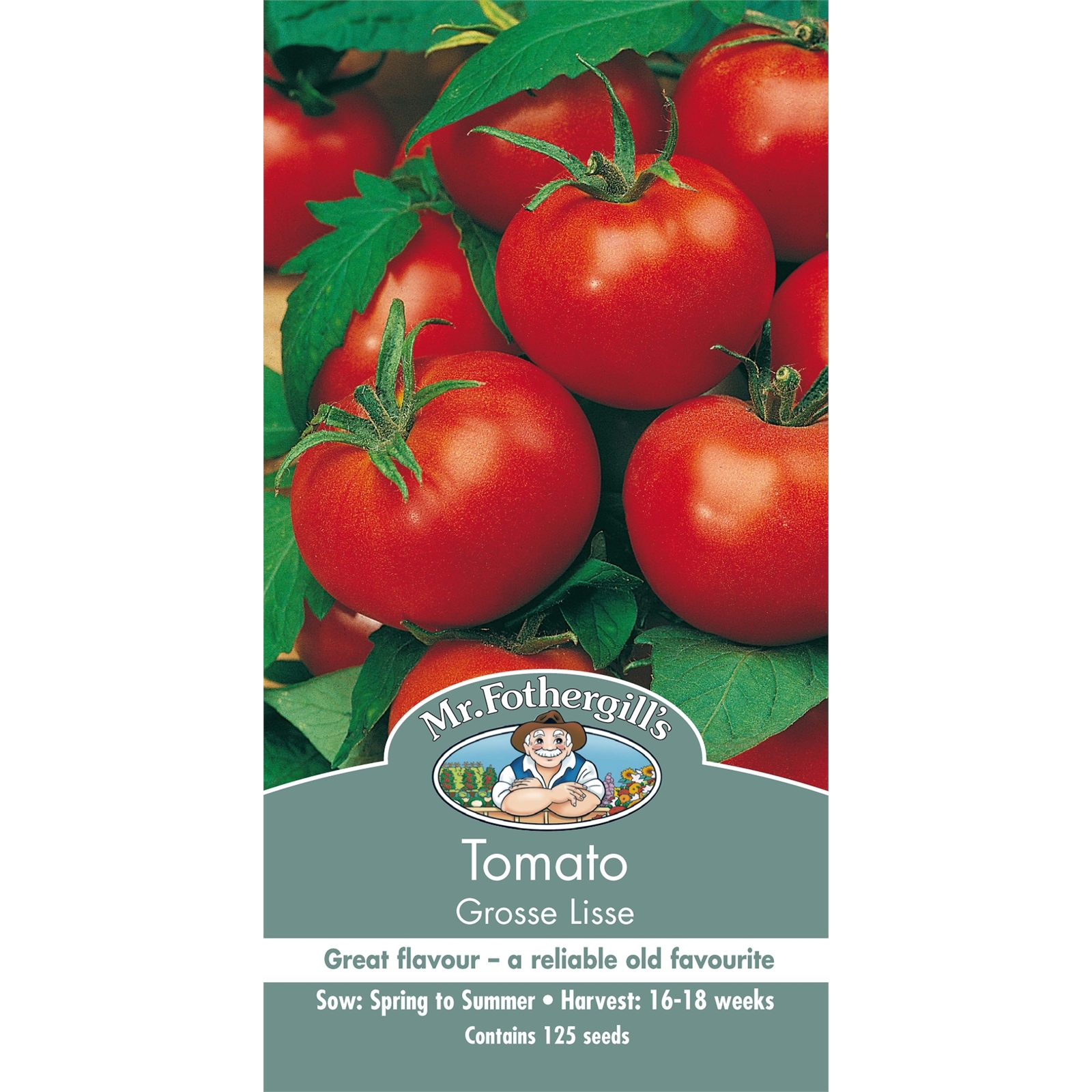 Mr Fothergill's Grosse Lisse Tomato Vegetable Seeds Bunnings Australia