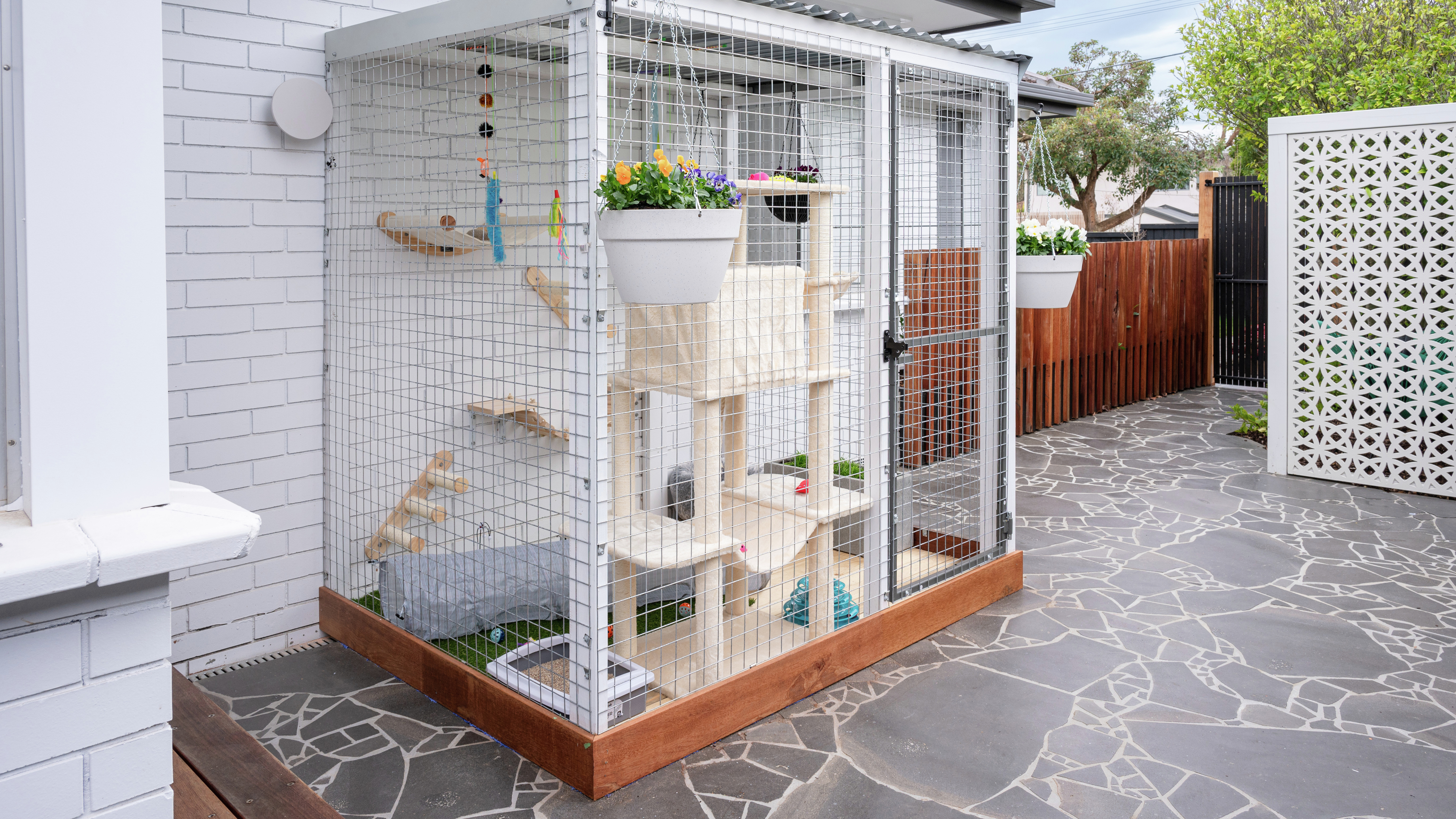 Eight Things To Consider When Building A Cat Run - Bunnings Australia