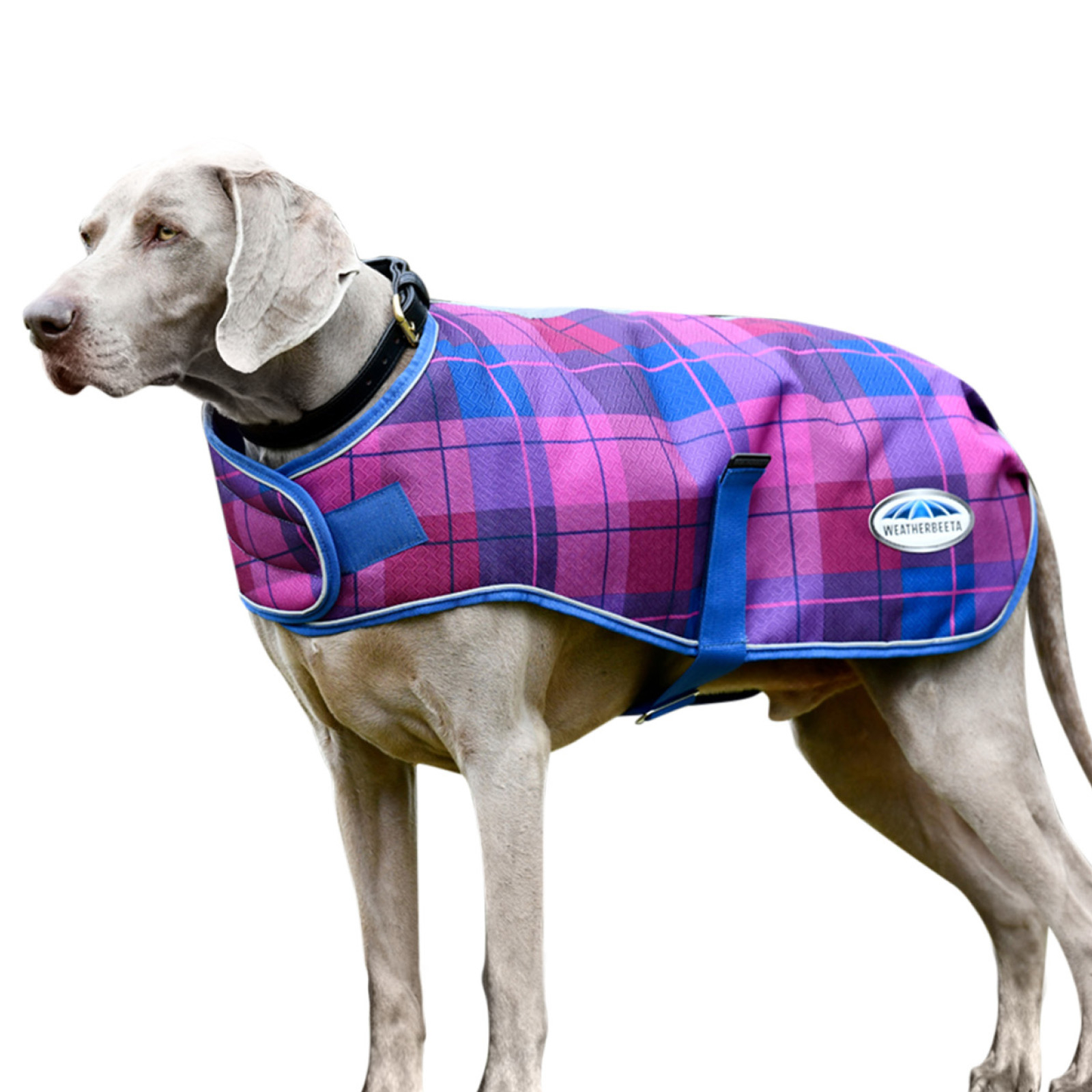 WeatherBeeta 55cm Dark Blue/Pink Plaid ComFiTec Premier Free Parka Dog