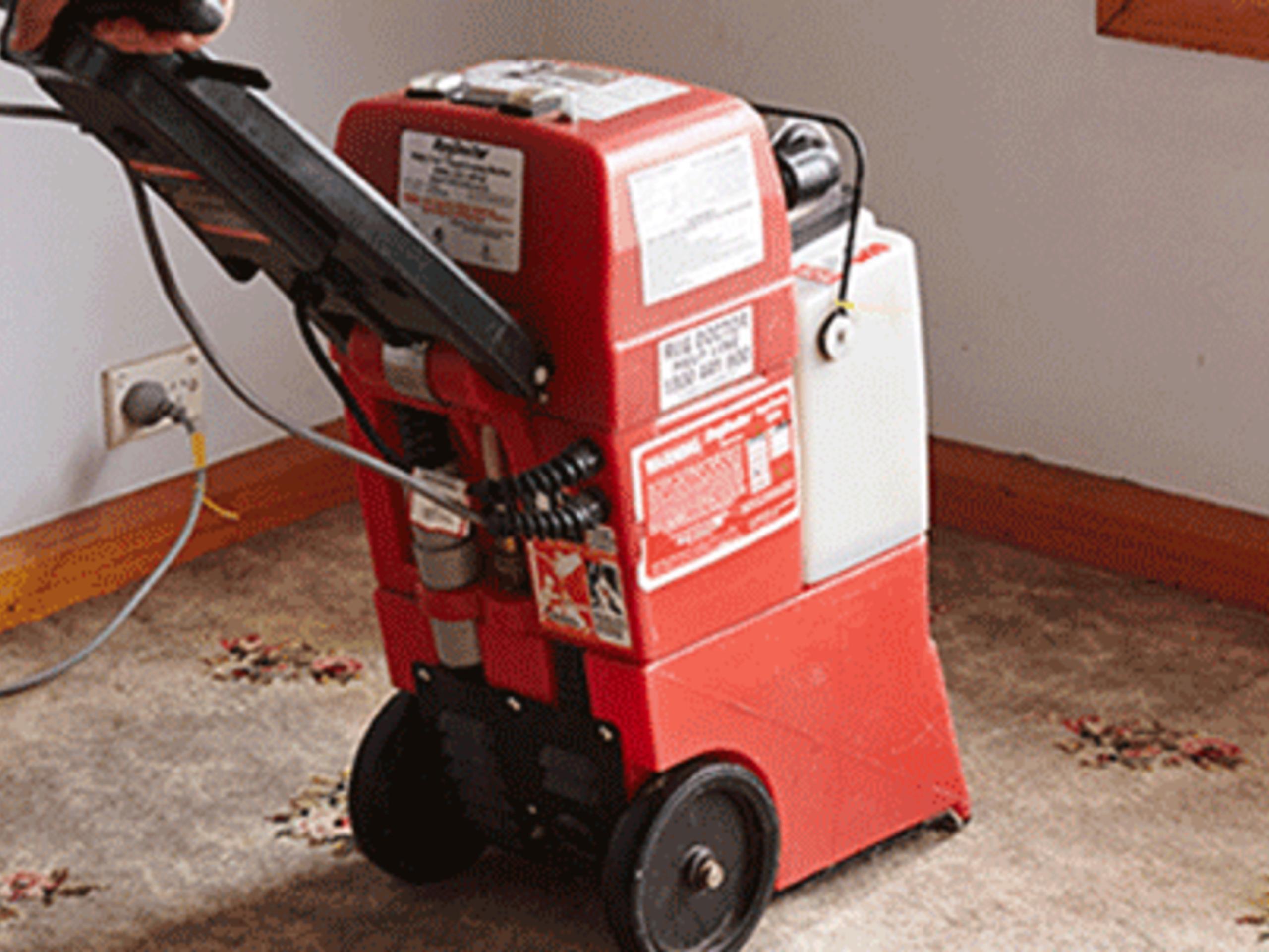 Carpet Cleaning Equipment For Hire Bunnings New Zealand