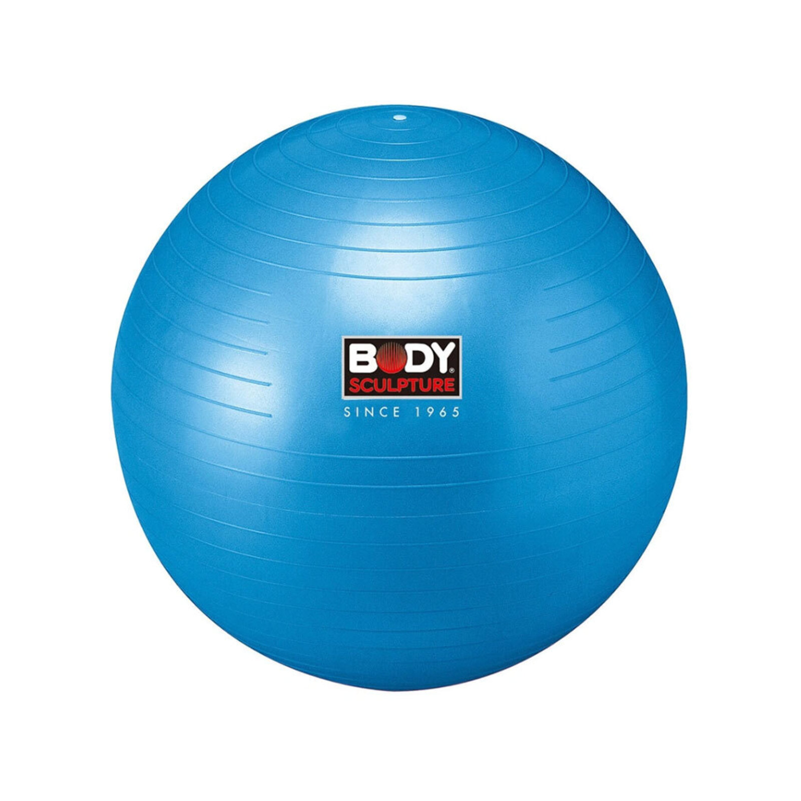 Body Sculpture Gym 65cm Ball AntiBurst Fitness Training/Workout Sports
