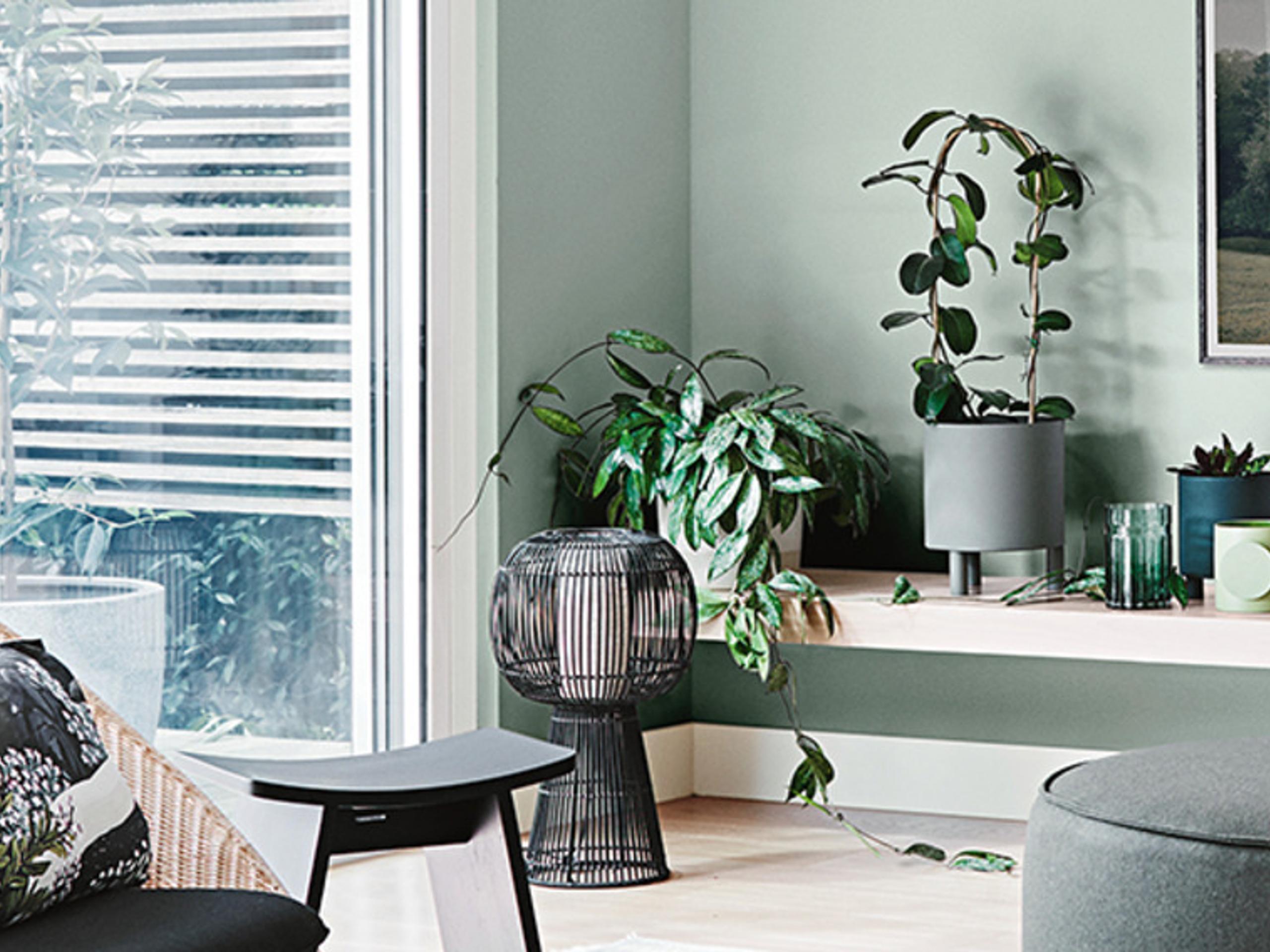 Paint & Wallpaper Decorating Supplies Bunnings Australia