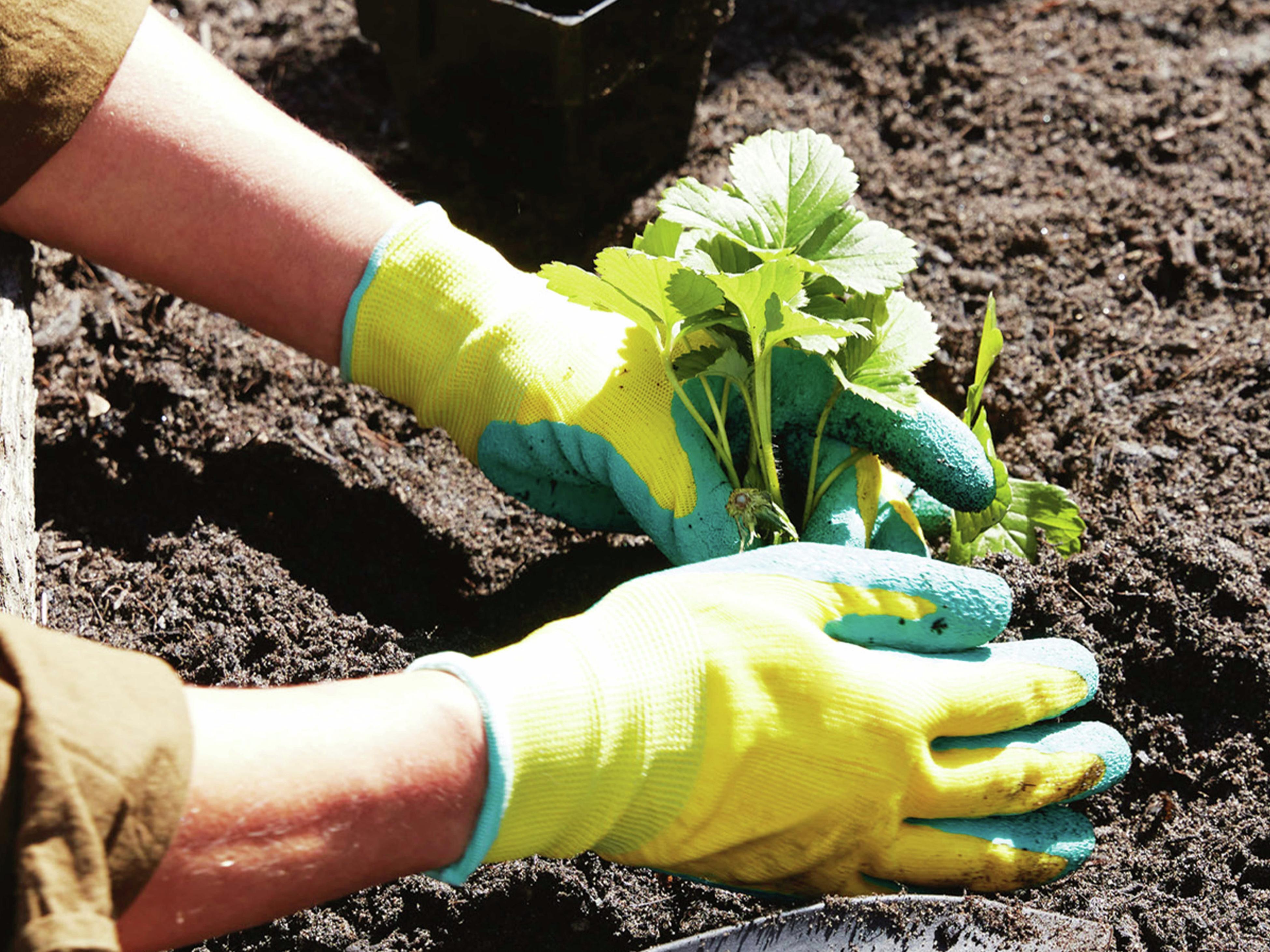 Gardening Gloves - Bunnings Australia