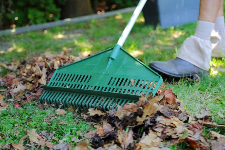 Person raking leaves