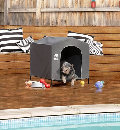 Dog lying in dog bed on timber decking surrounding a pool