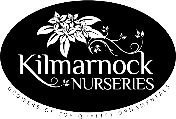 Kilmarnock Nurseries