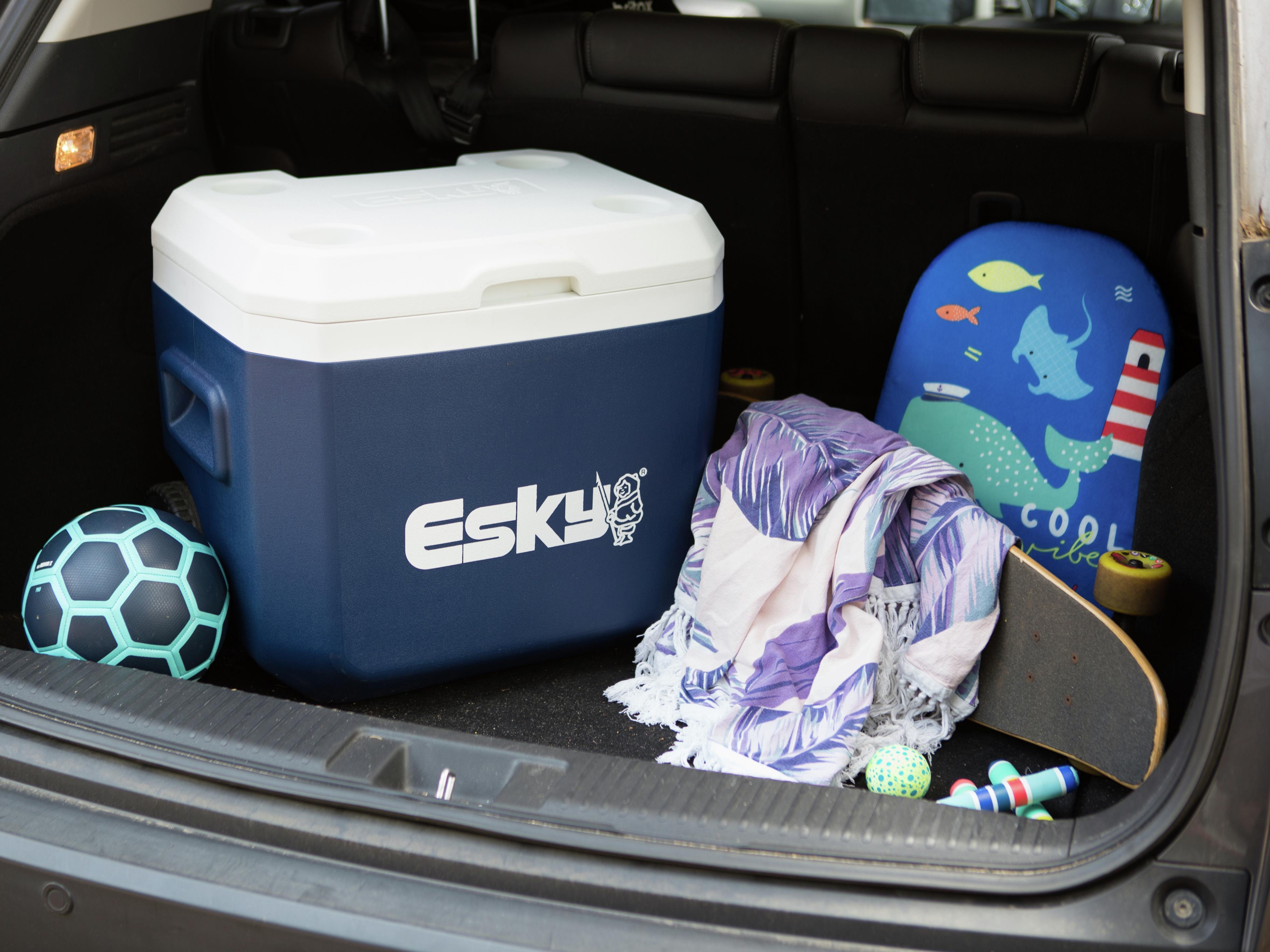 Foam best sale esky bunnings