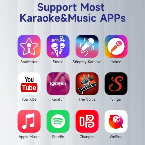 SingMasters SM30 Handheld Portable CarPool Bluetooth Karaoke Wireless