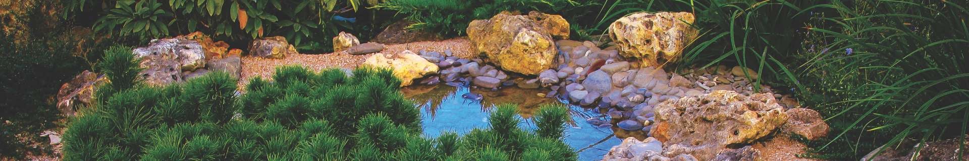 Pond with rocks and plants around it.