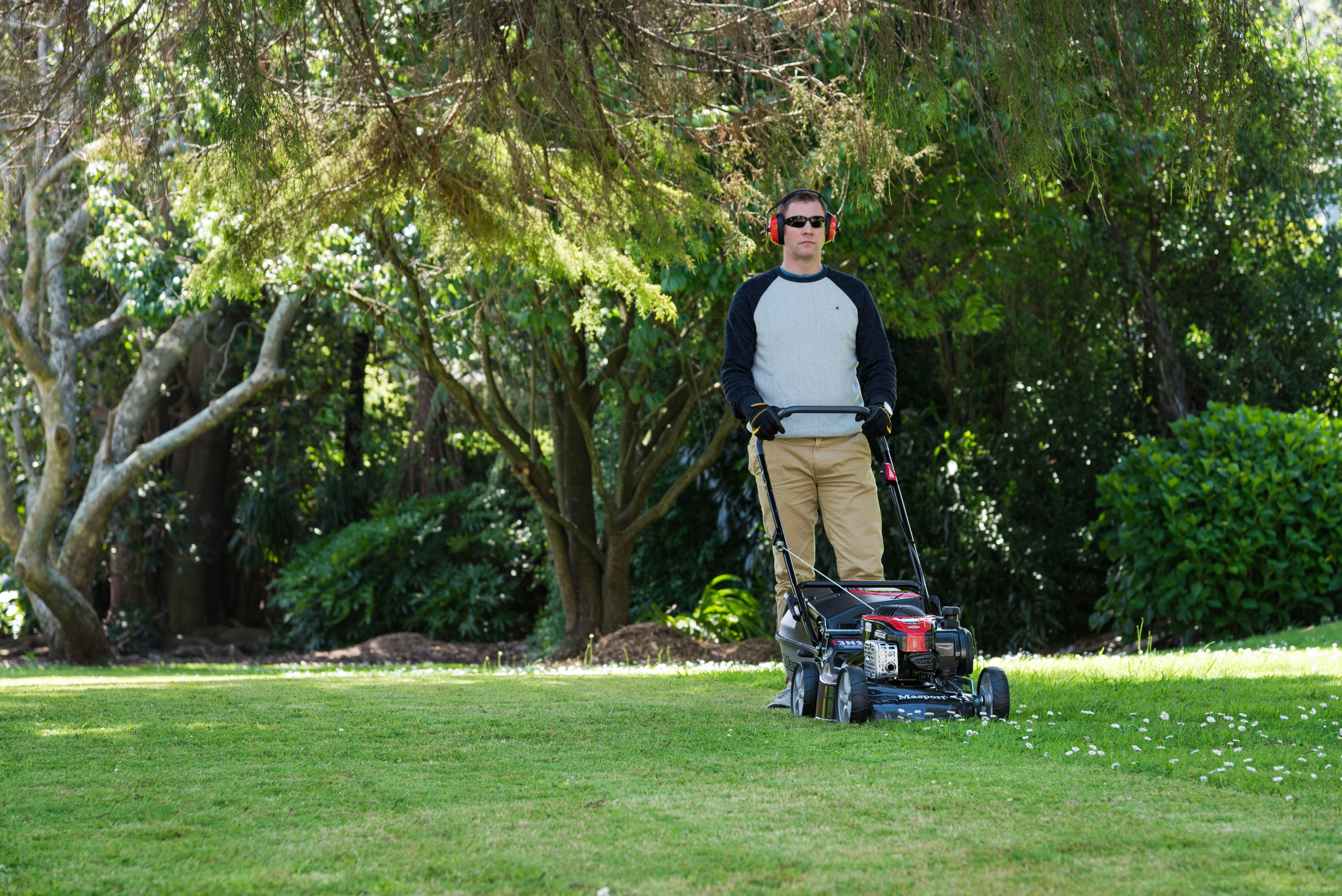 Bunnings masport lawn online mowers