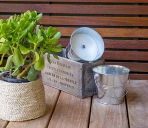 Insect repellent candle and a succulent in a pot plant on a deck