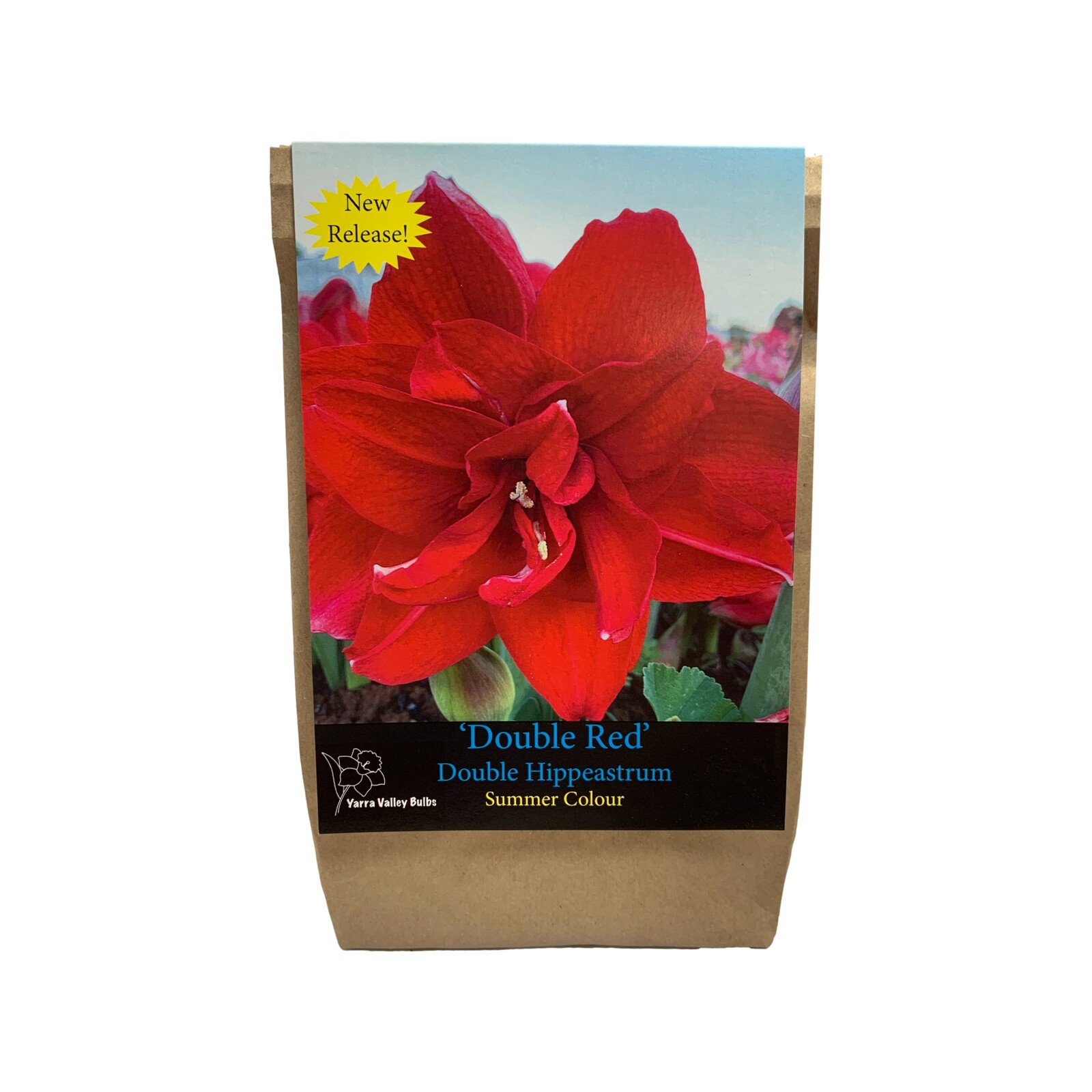 Yarra Valley Bulbs Hippeastrum Double Red 1 Pk Bunnings Australia