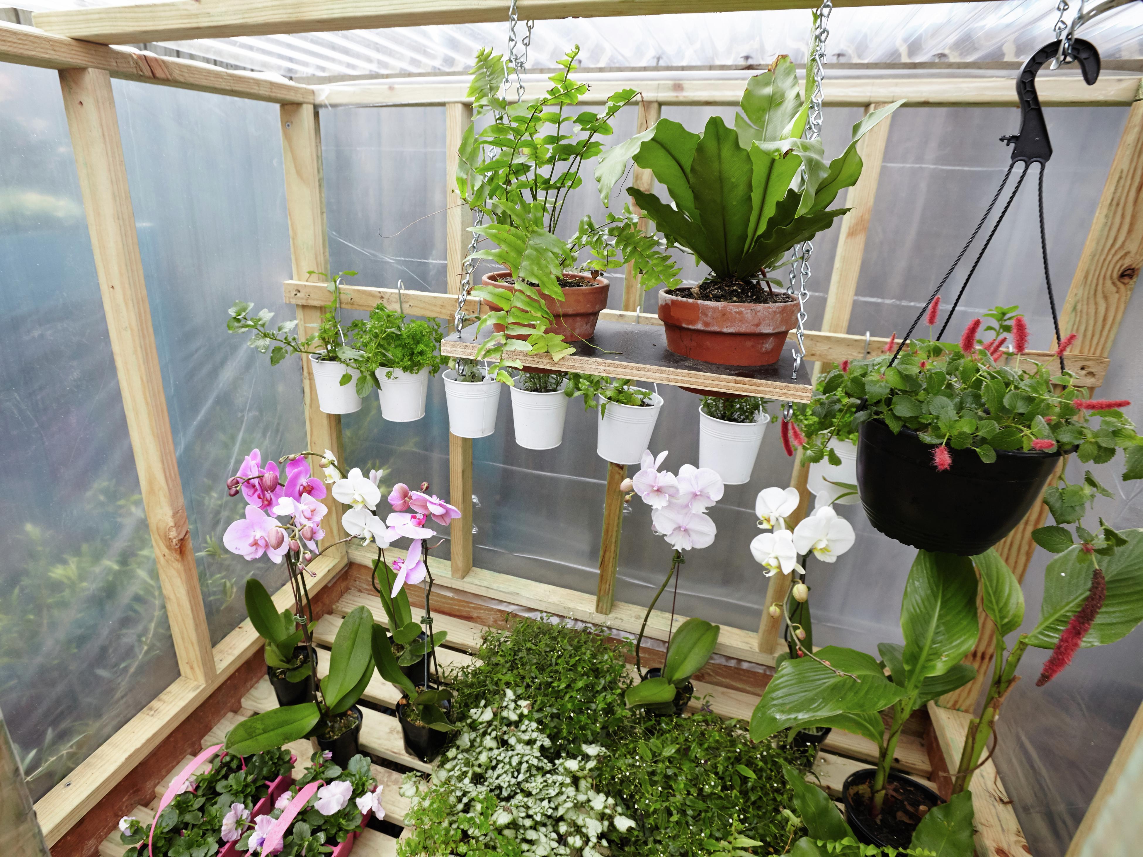 Bunnings greenhouse store