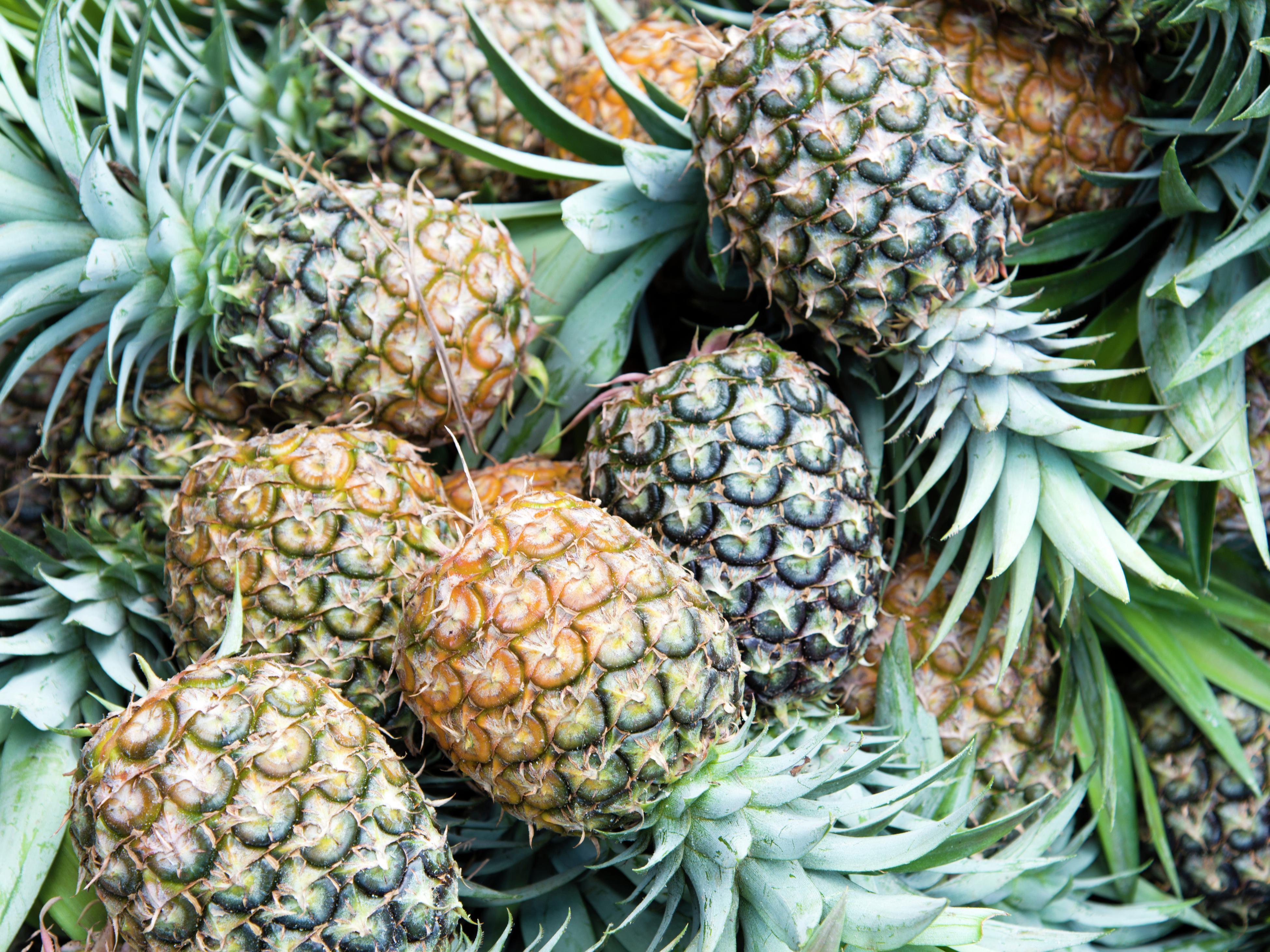 How To Plant And Grow Pineapples Bunnings New Zealand