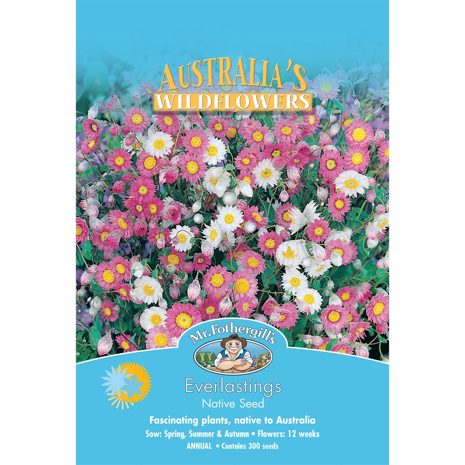Mr Fothergill's Everlastings Flower Seeds Bunnings Australia