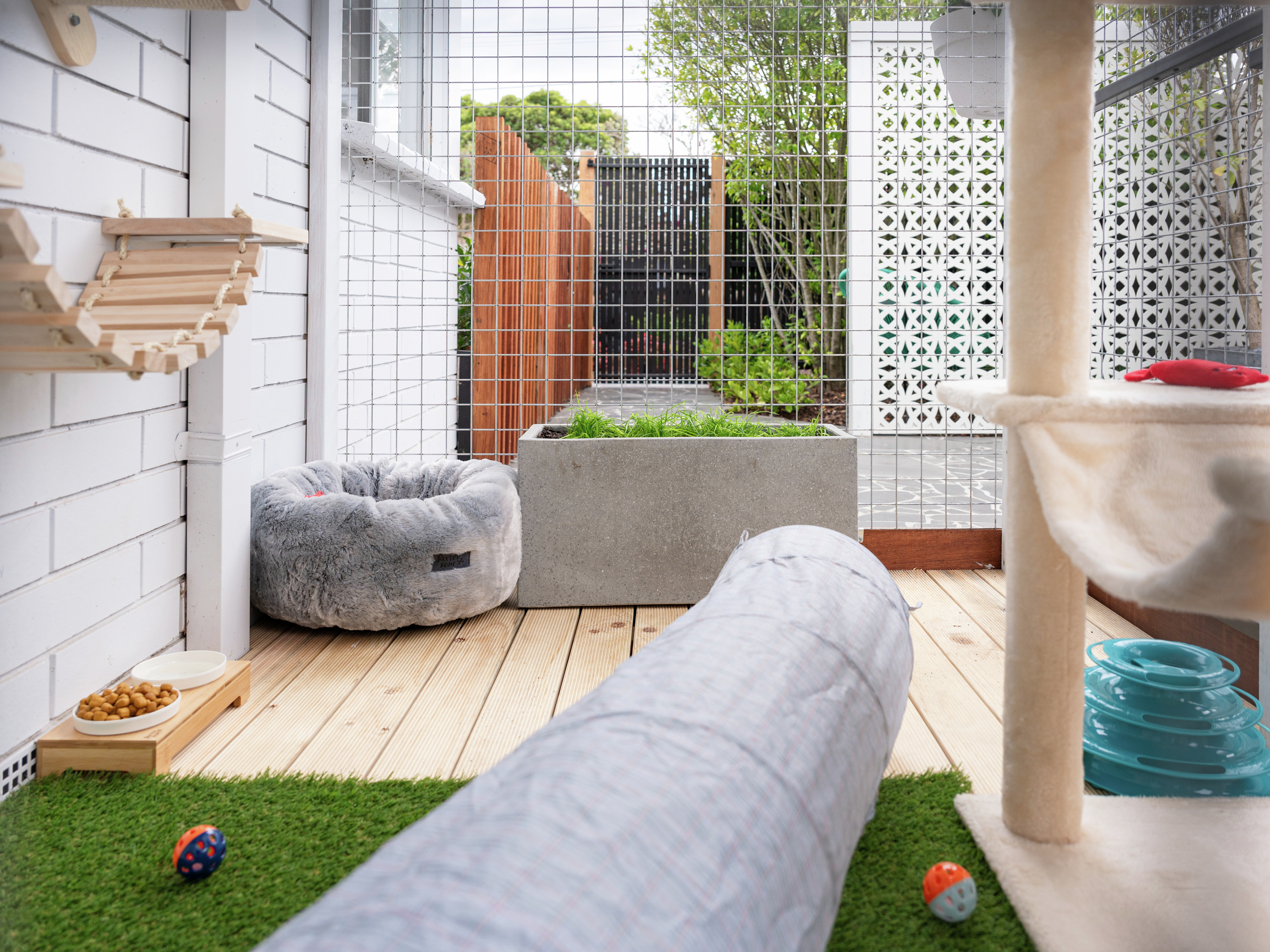 Cat proof fence outlet bunnings