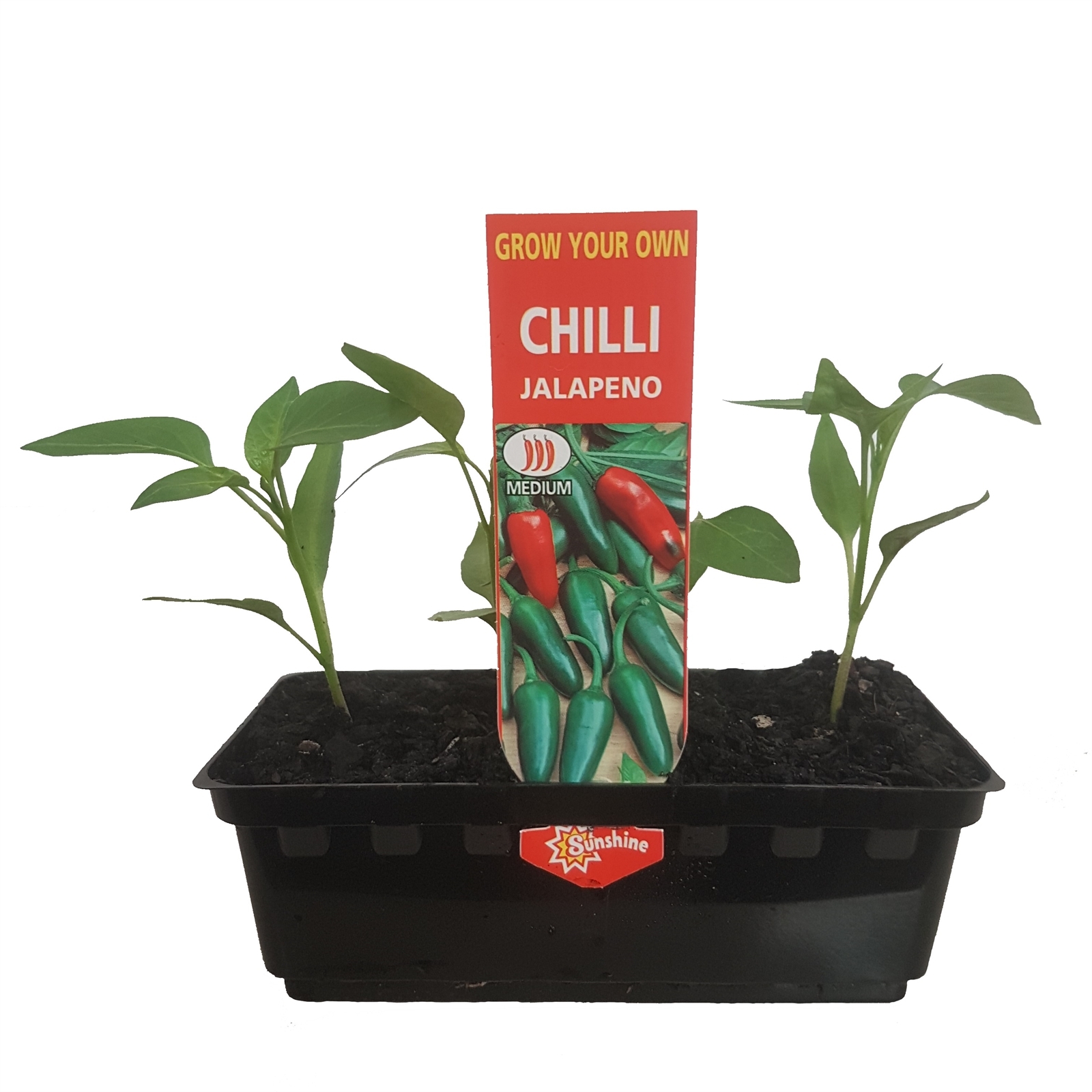 Chilli Jalapeno Capsicum annuum Grow Your Own Range Bunnings Australia