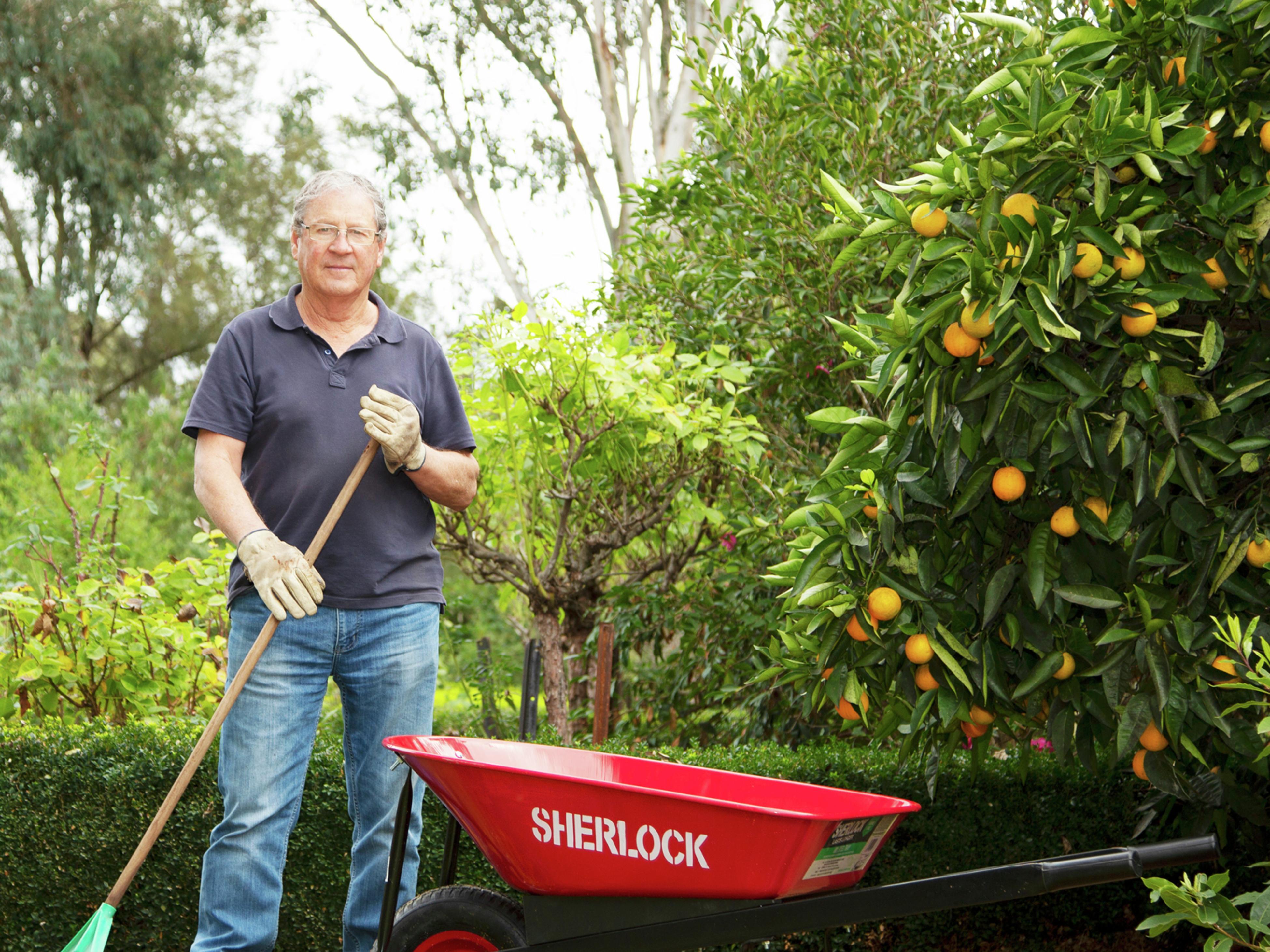 Bunnings cheap kids wheelbarrows