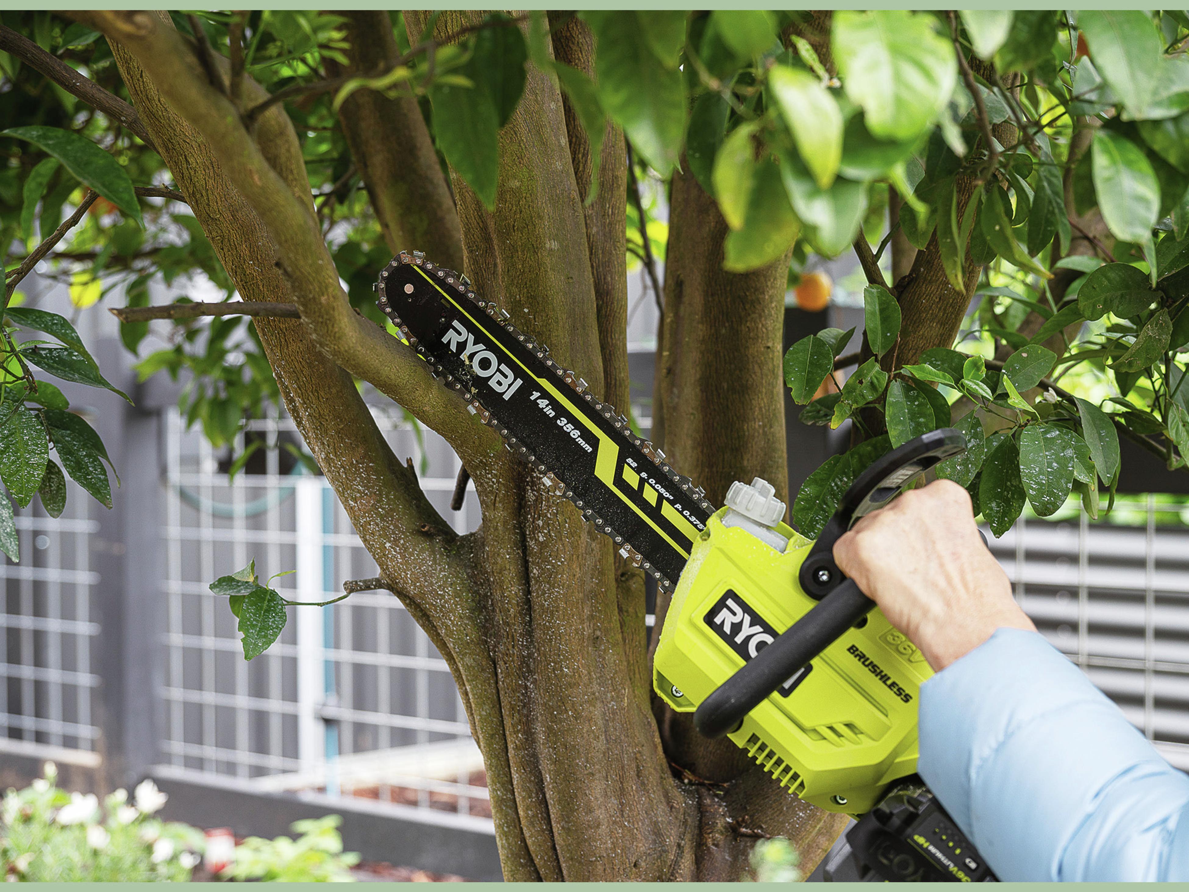 Tree deals cutters bunnings