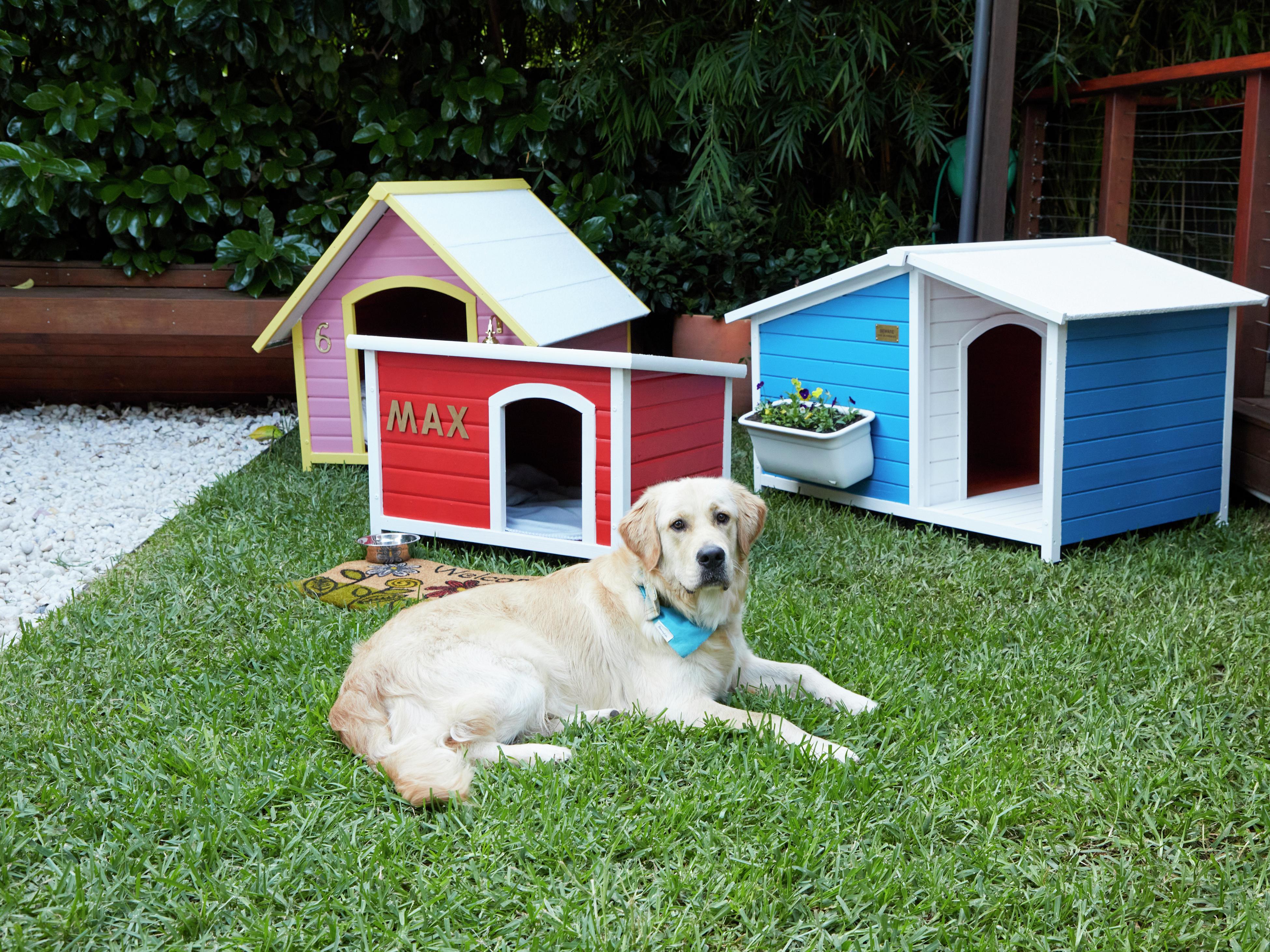 Small dog 2024 kennel bunnings