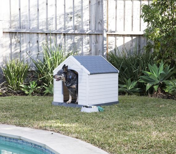 Dog in dog kennel on grass in backyard